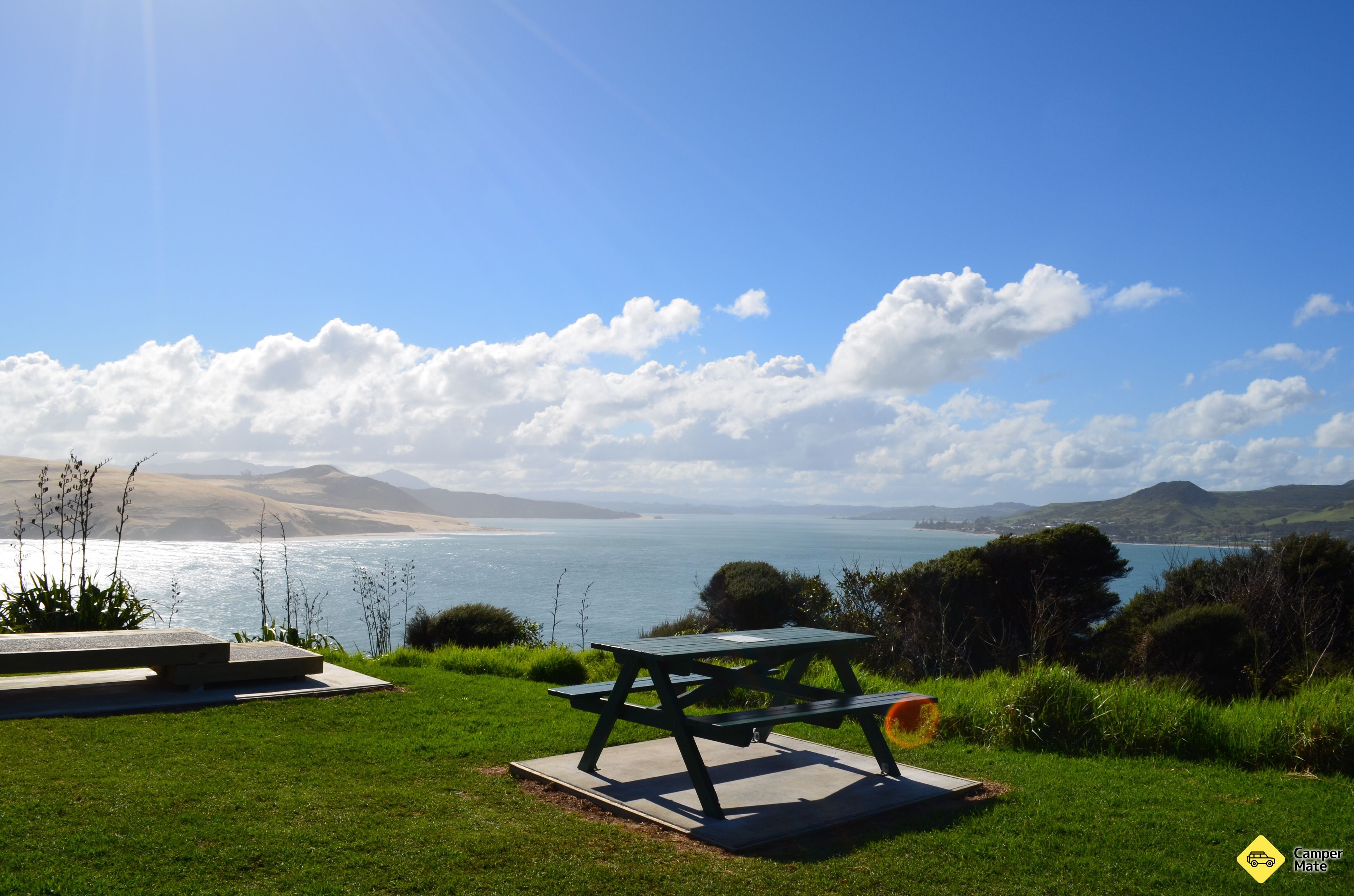 Arai Te Uru Scenic Lookout - Image 3