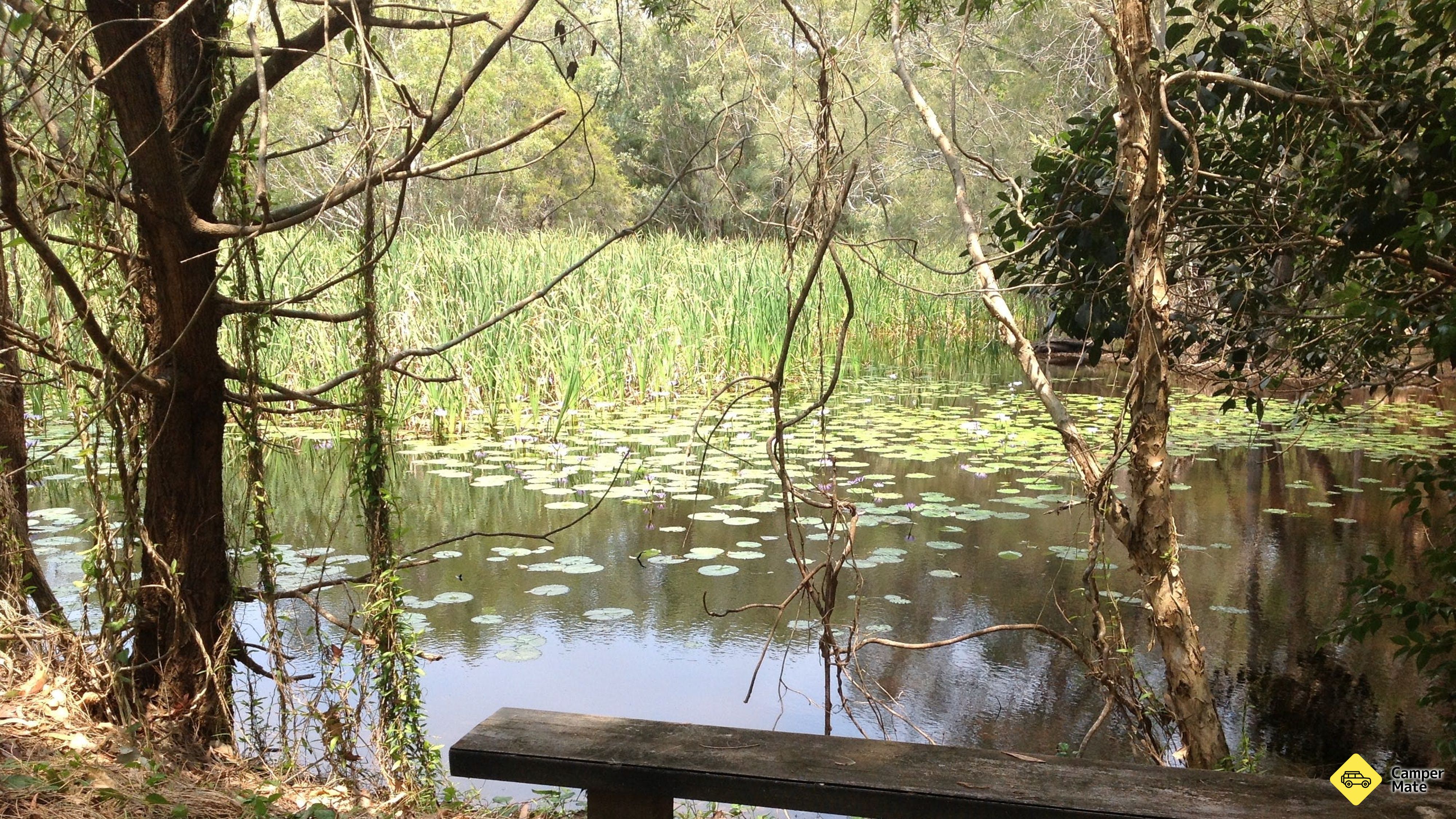 Arkarra Lagoons en Tea Gardens