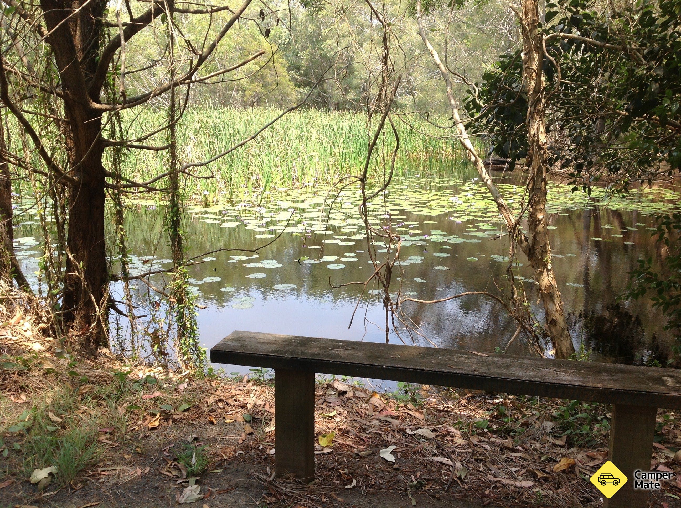 Arkarra Lagoons and Tea Gardens