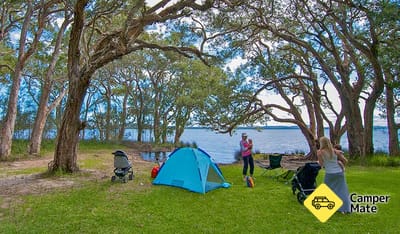 White Tree Bay Camping & Picnic Area, Myall Lakesin kansallispuisto
