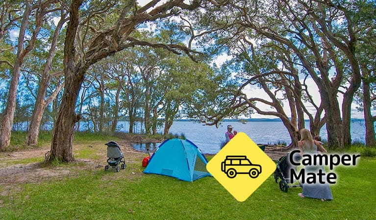 White Tree Bay Camping & Picnic Area, Εθνικό Πάρκο Myall Lakes