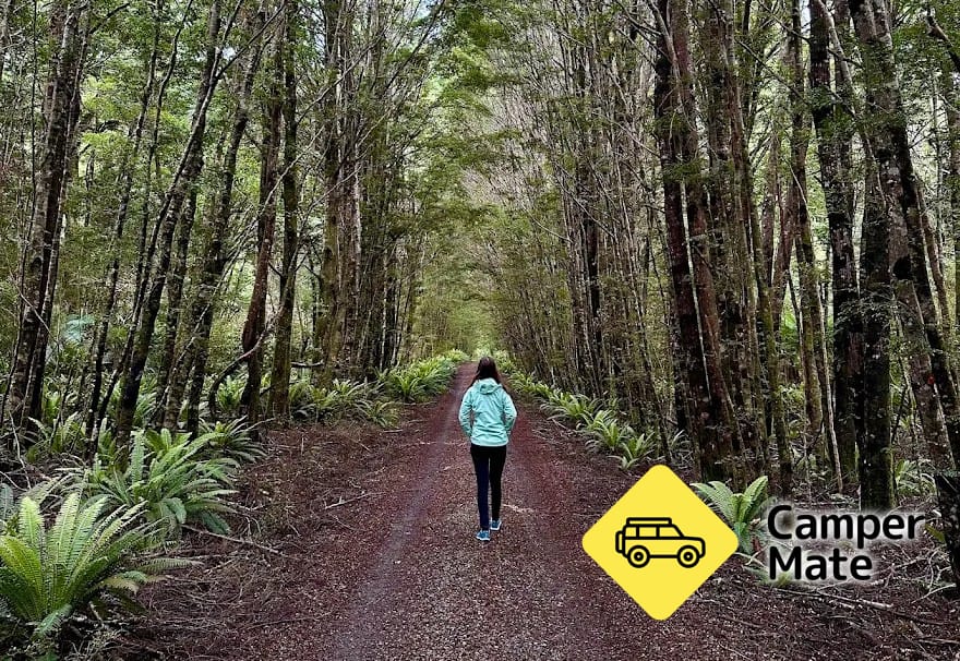 Big Totara Walk