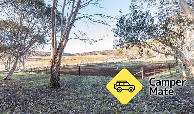 Bullocks Hill Campground - Image 2