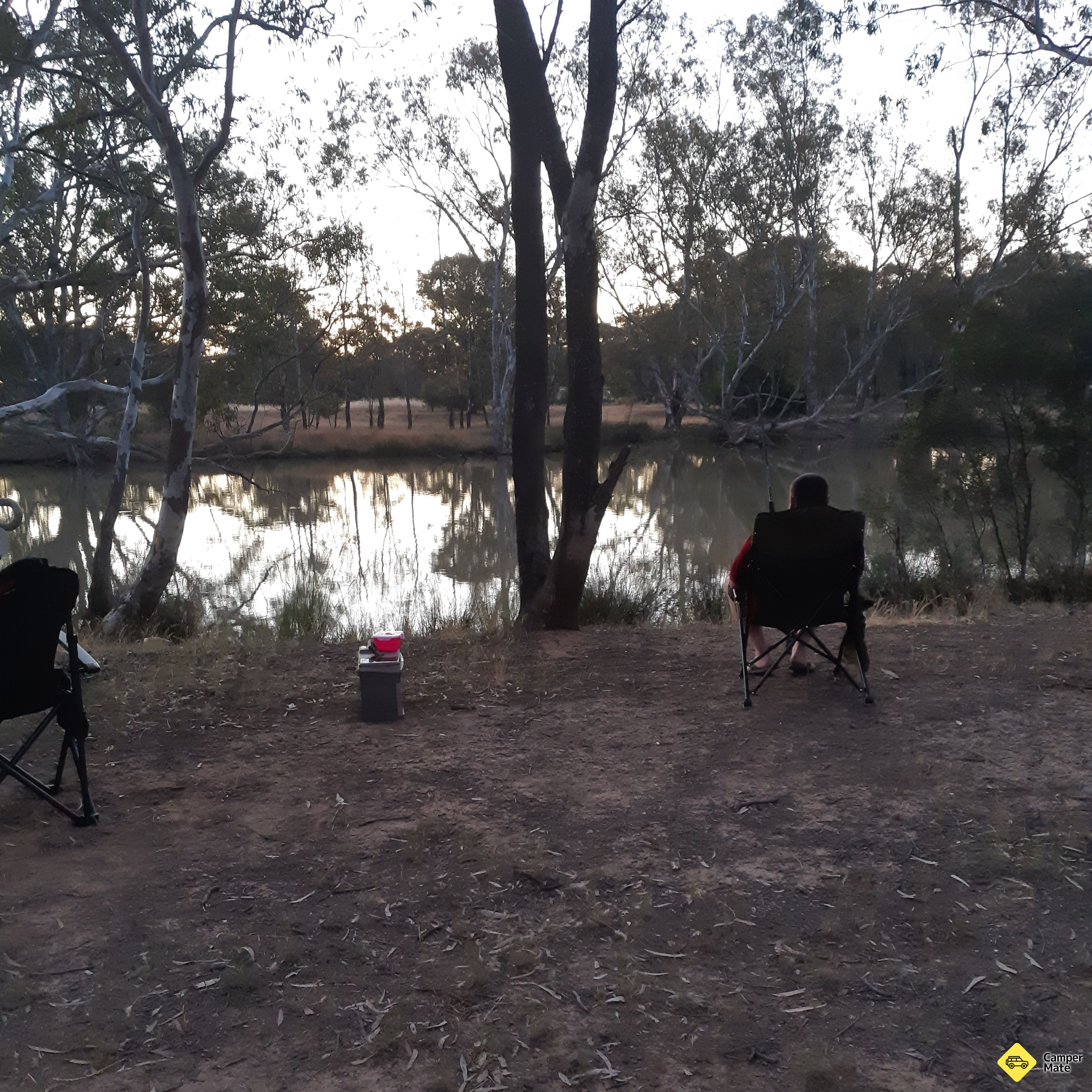 Zona de descanso Bears Lagoon Fruit Fly - Image 2