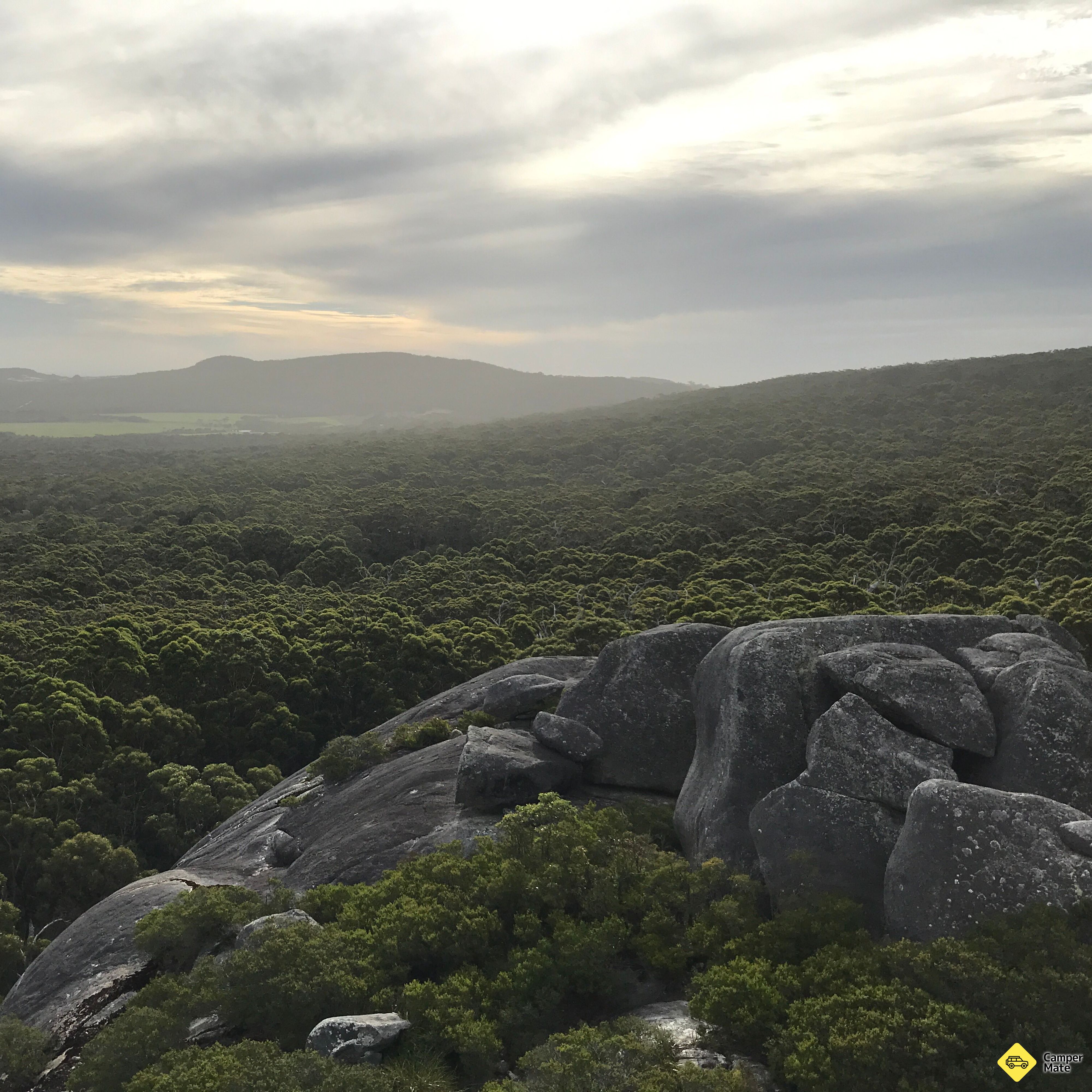 Monkey Rock - Image 2