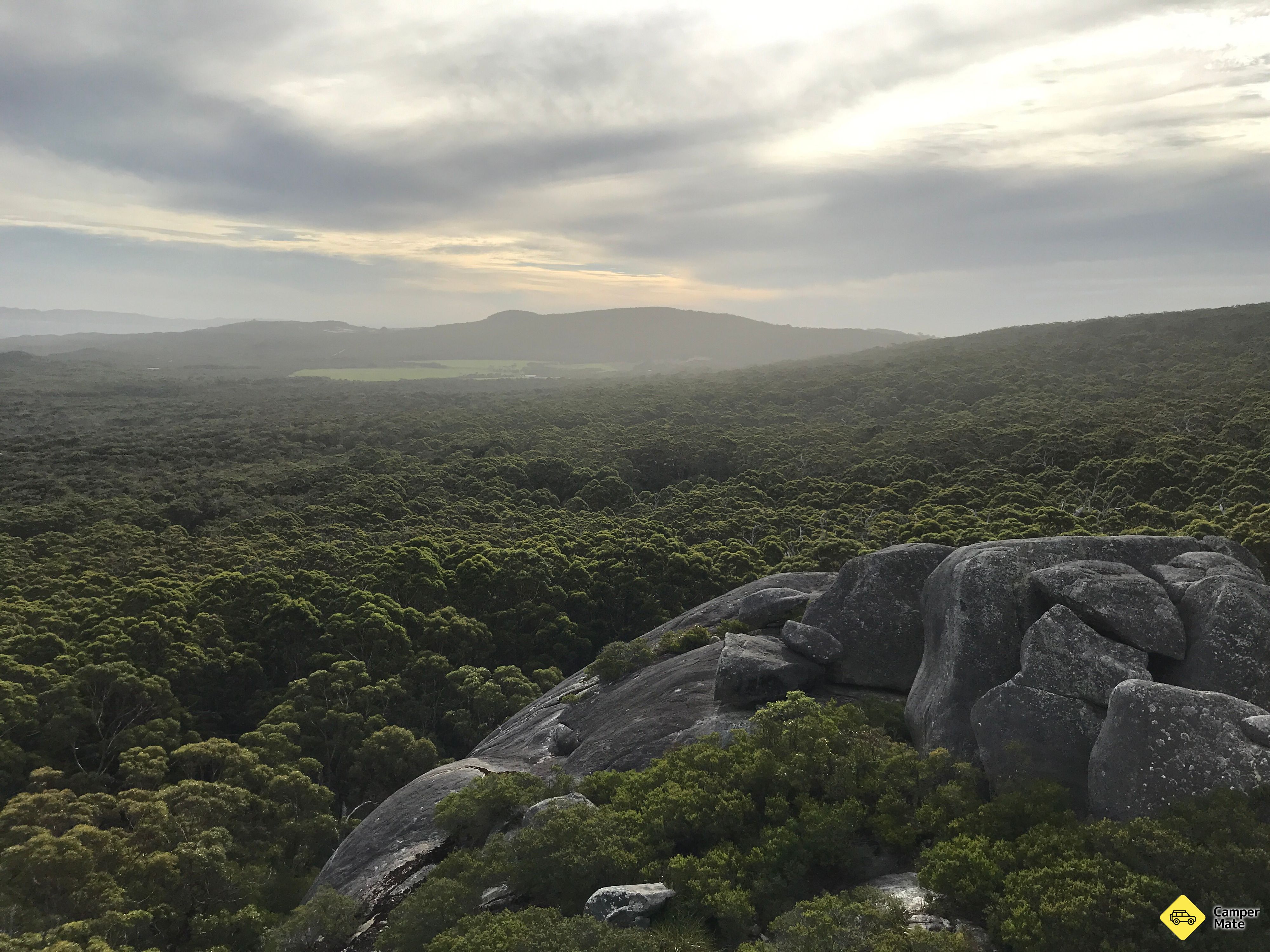 Monkey Rock - Image 2