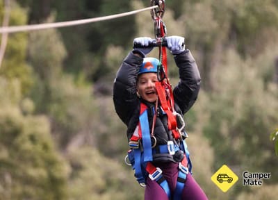 Treetops Adventure Hollybank