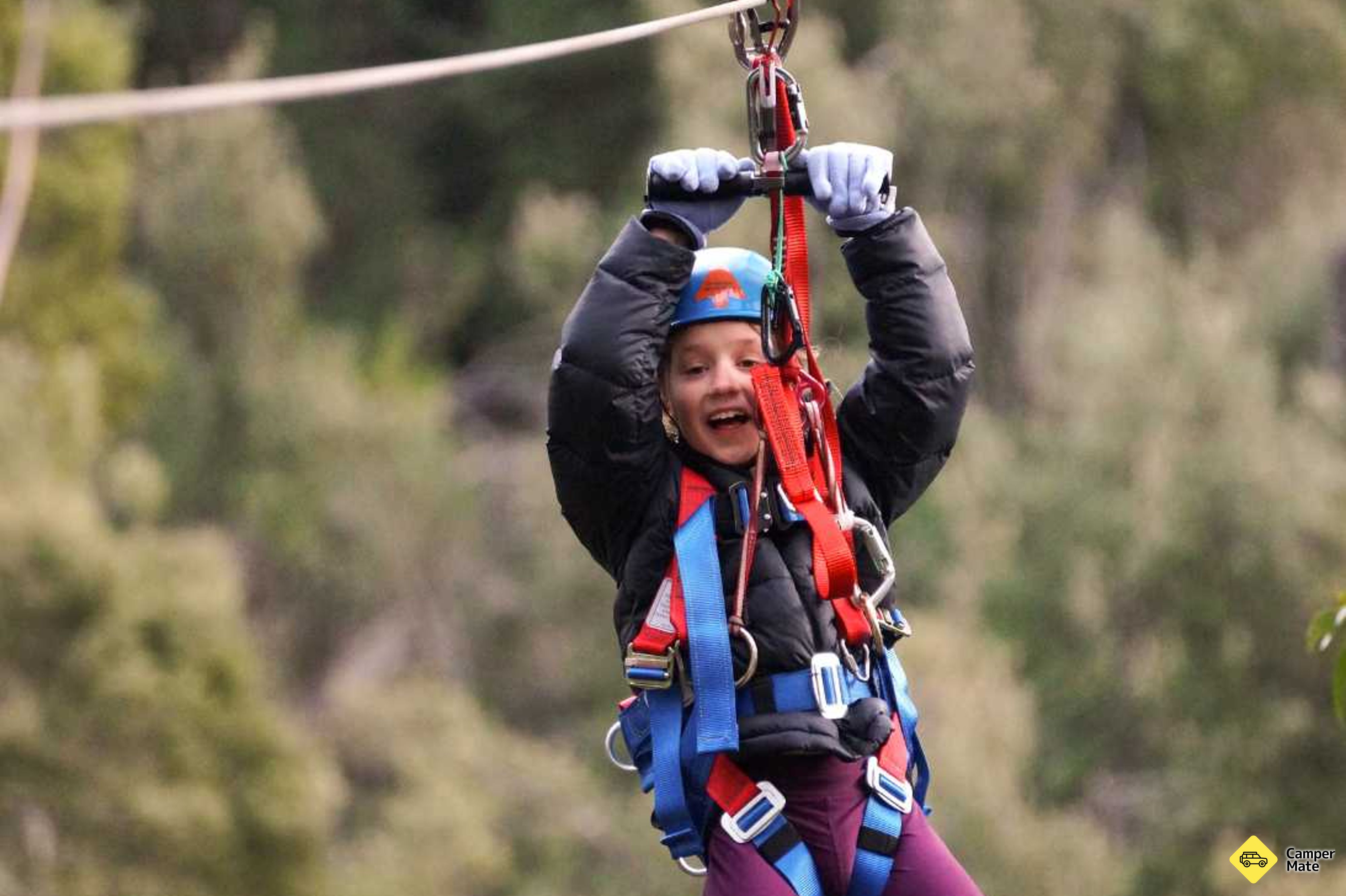 Avventura di Treetops Hollybank