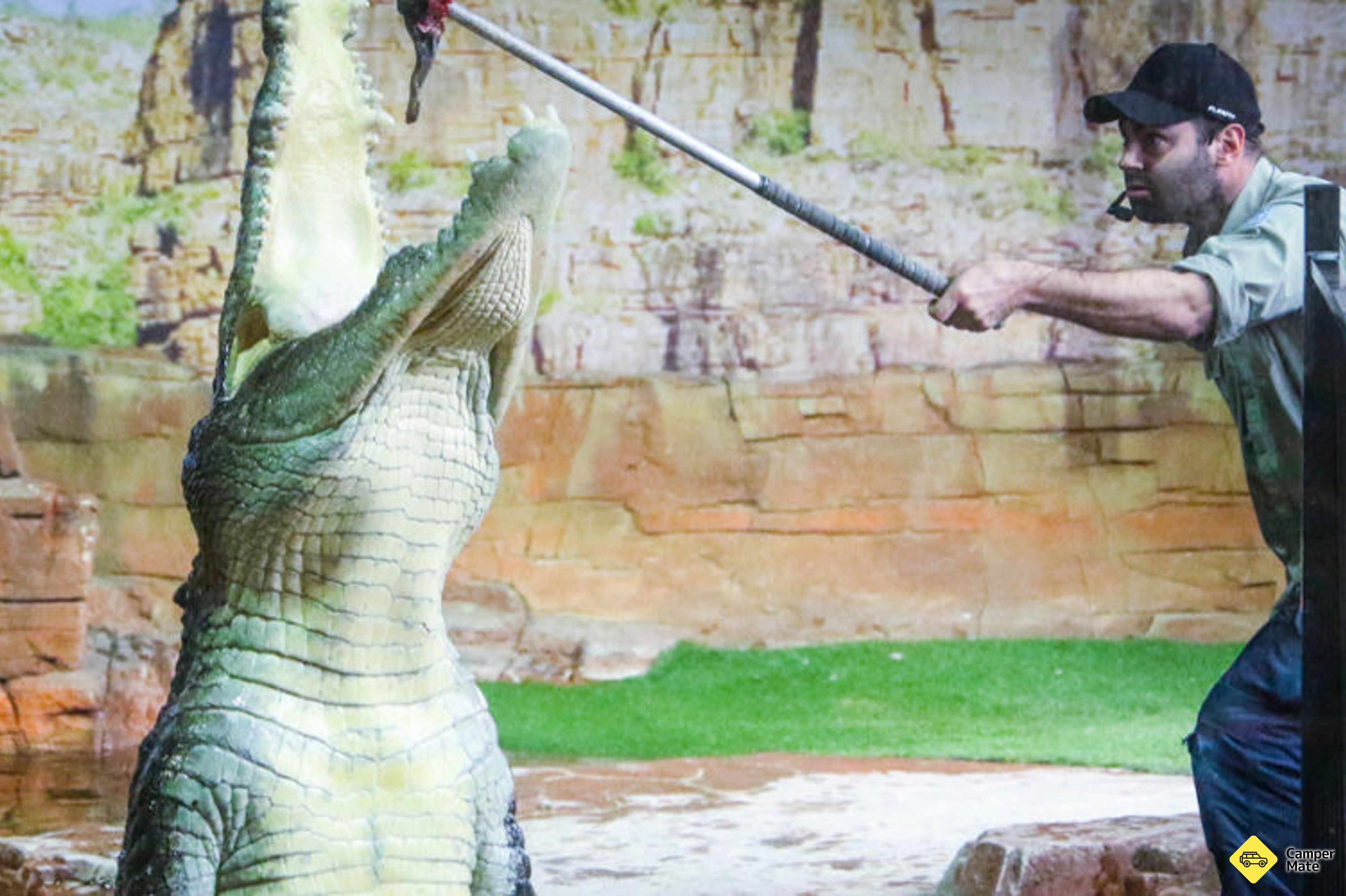 حديقة Ballarat Wildlife Park - Image 3