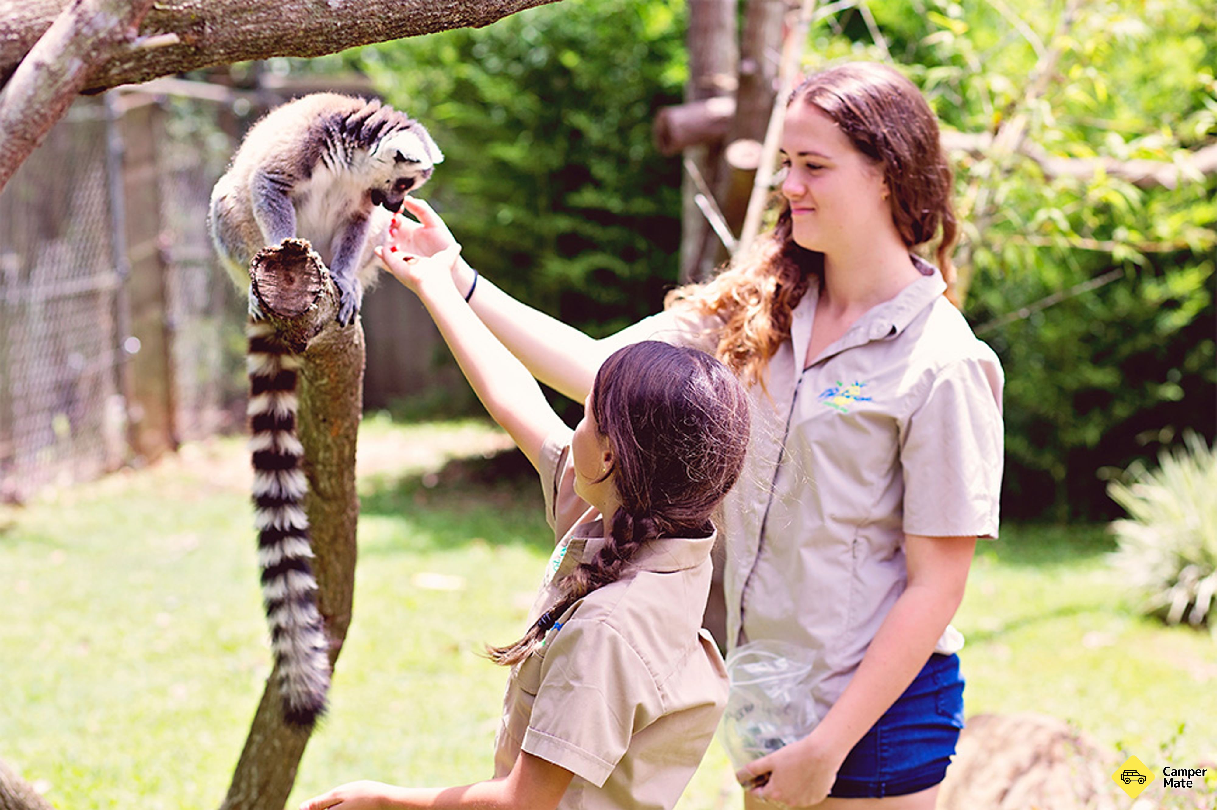Wildlife HQ - Image 2