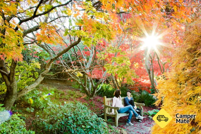 Blue Mountains Botanic Garden Mount Tomah