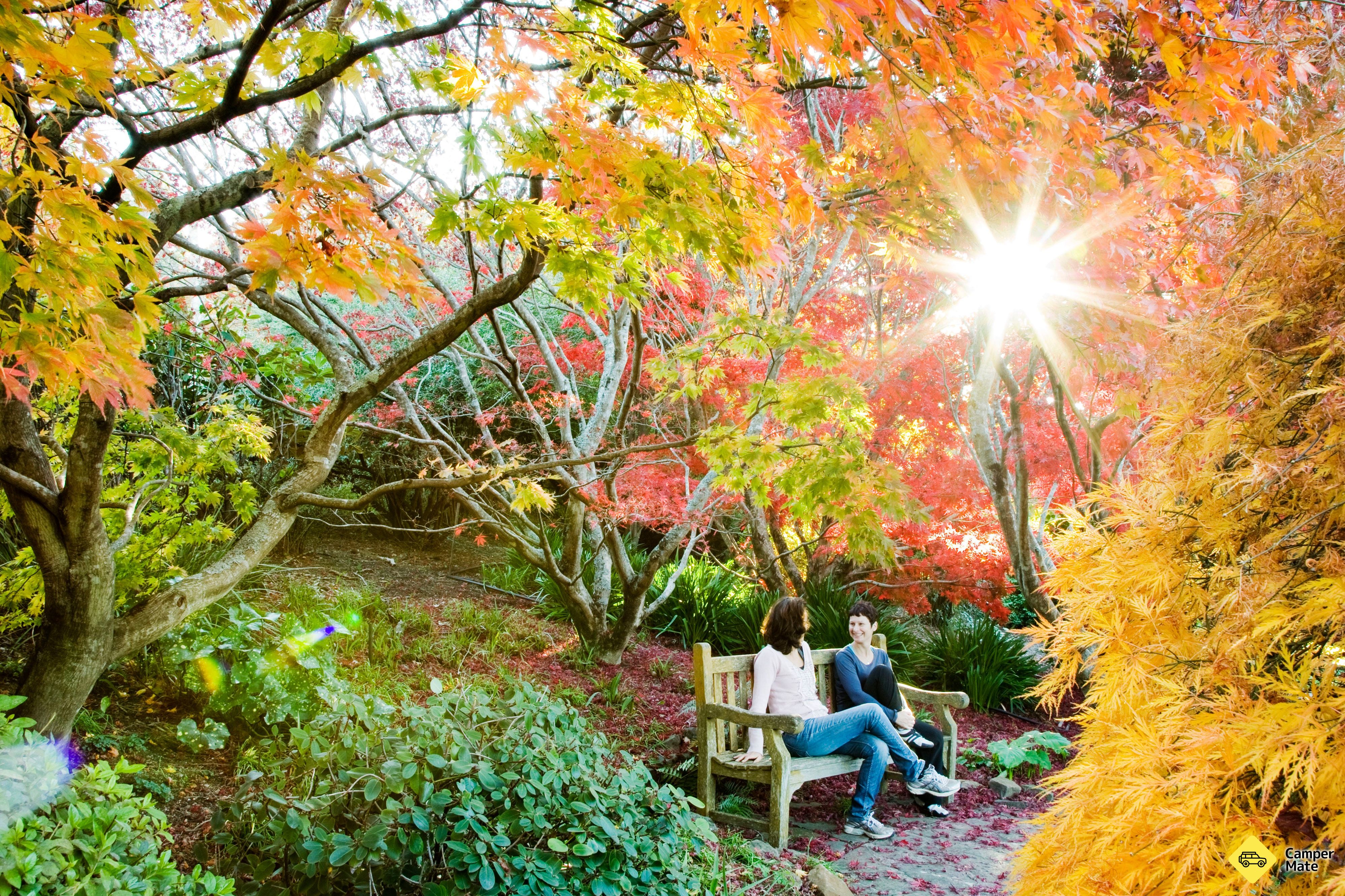 Blue Mountains Botanic Garden Mount Tomah