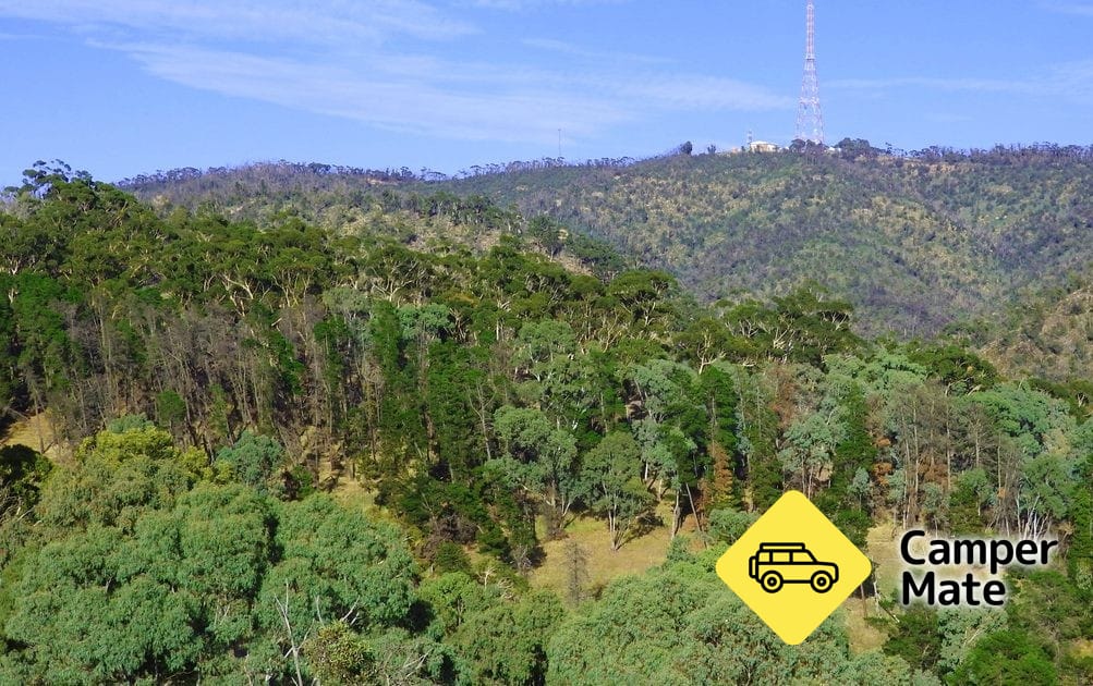Wirrabara Forest Reserve