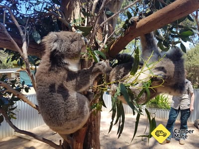 Restauracje w pobliżu Kangaroo Island Wildlife Park