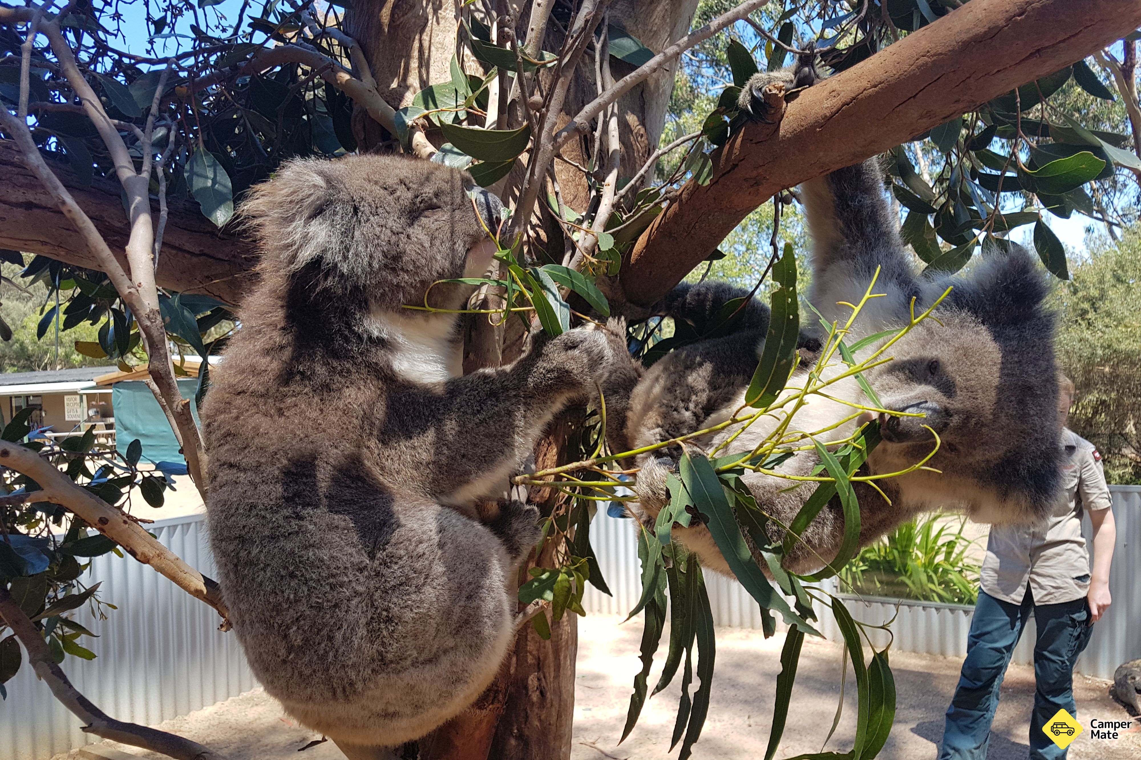 Restauracje w pobliżu Kangaroo Island Wildlife Park