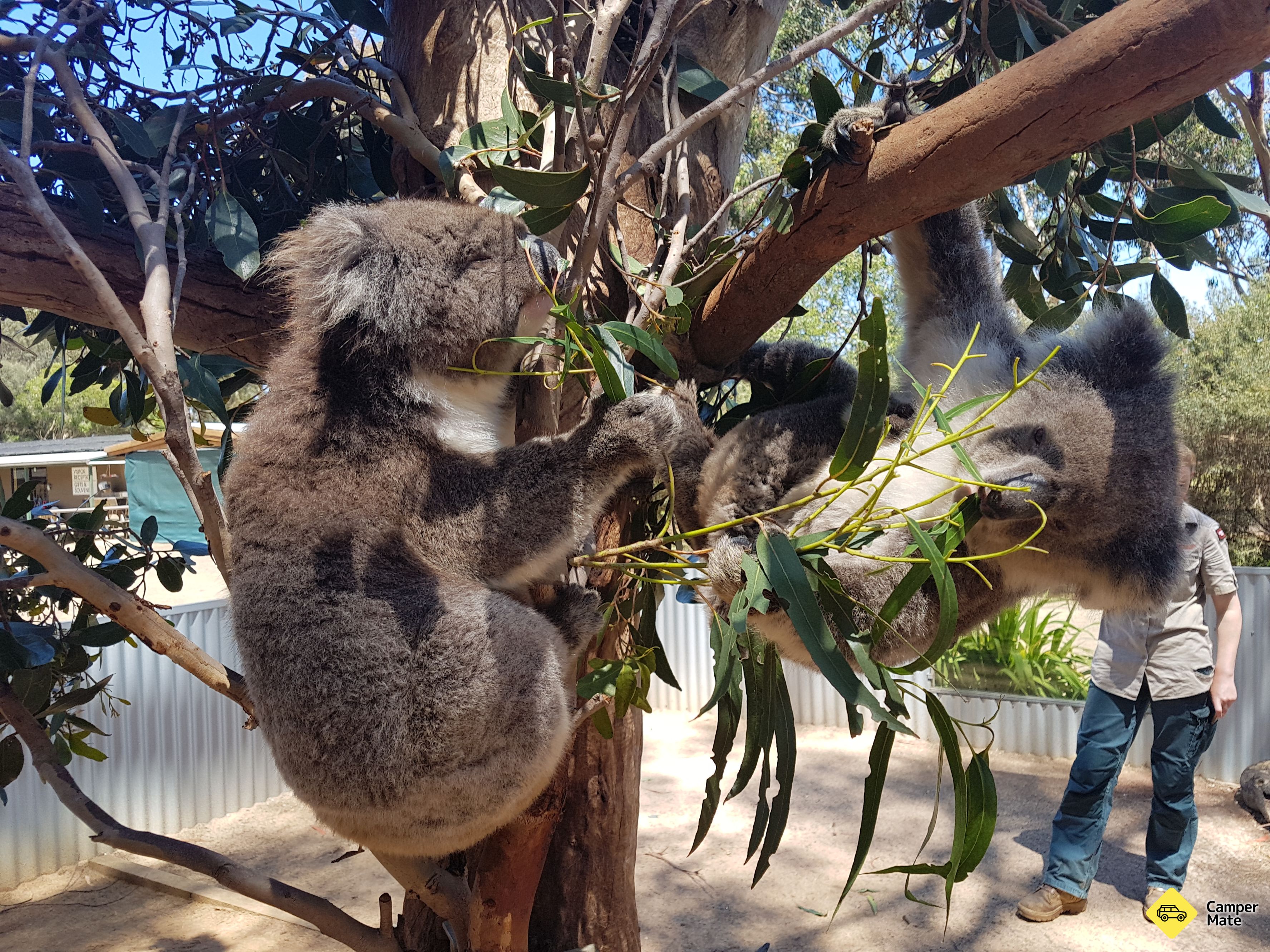 Restauracje w pobliżu Kangaroo Island Wildlife Park