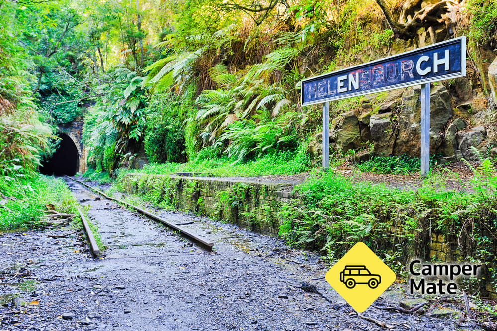 Helensburgh Glow Worm Tunnel - Image 3