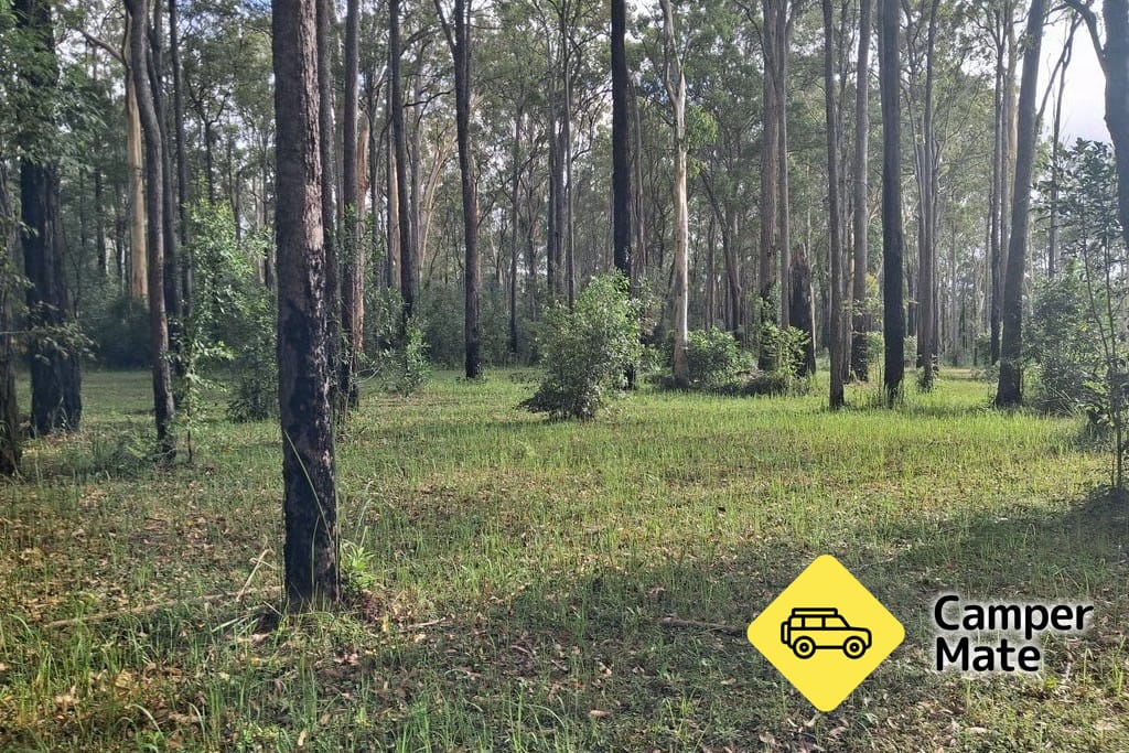 Bungawalbin Wildlife Retreat - Image 2