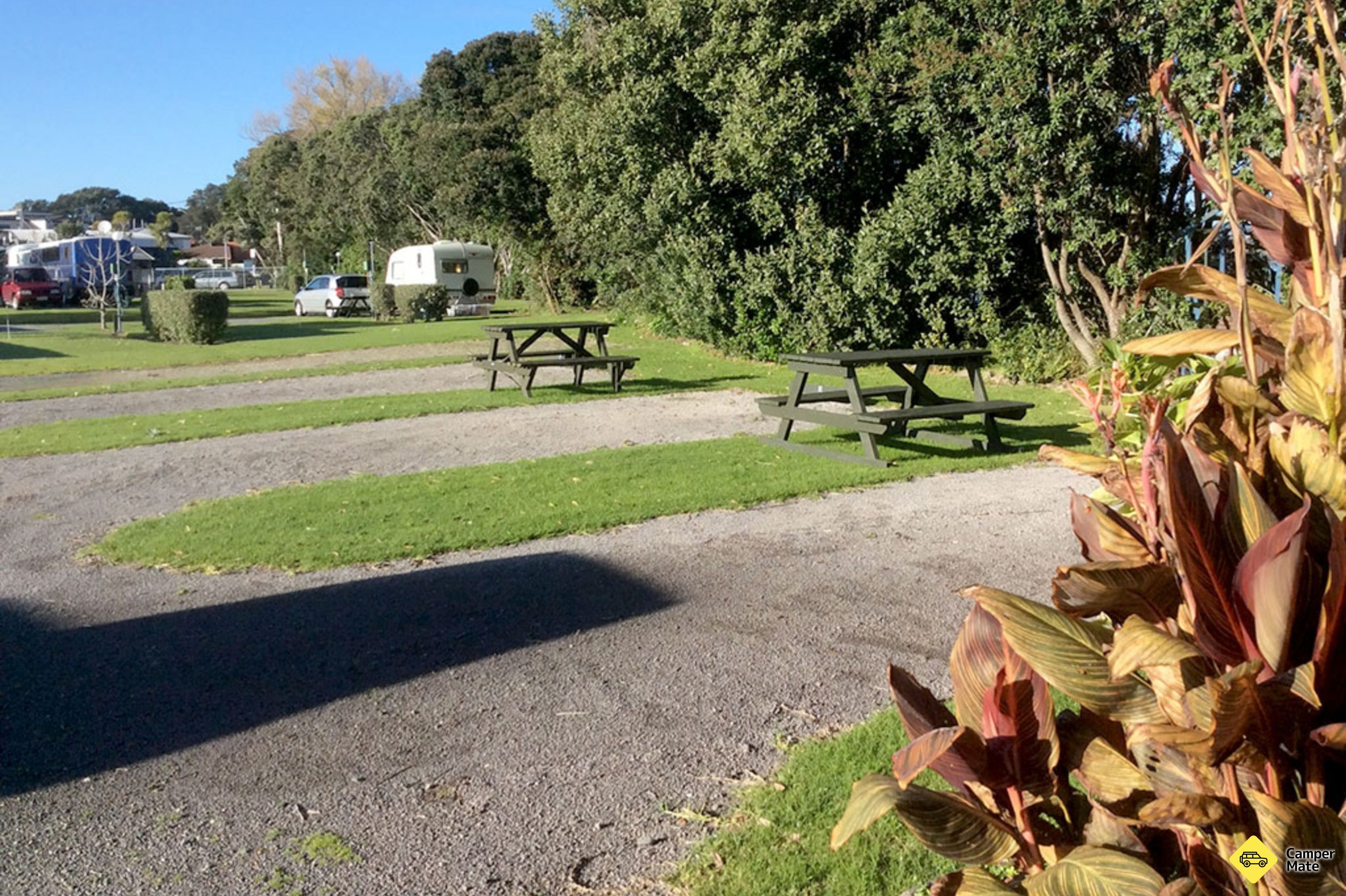 Tauranga Tourist Park - Image 3