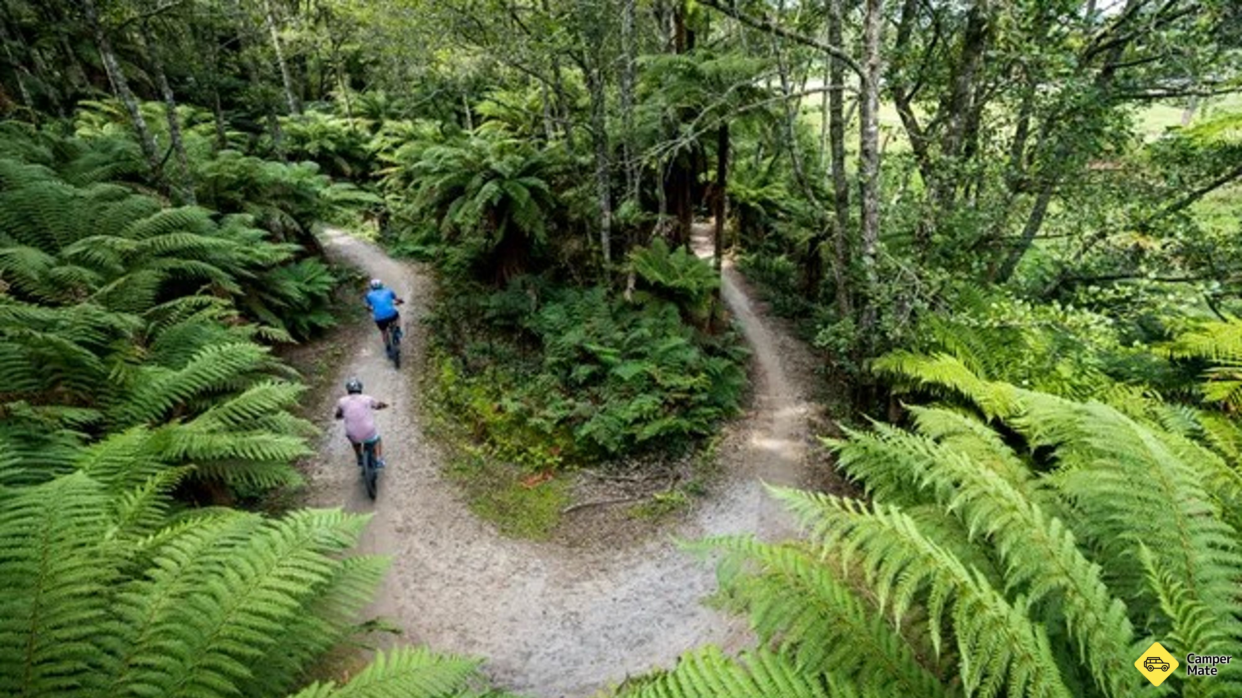 Restauranger i närheten av Whakarewarewa Forest (the Redwoods) Walk
