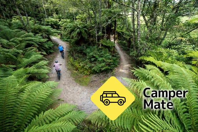 Whakarewarewa Forest (the Redwoods) Walk