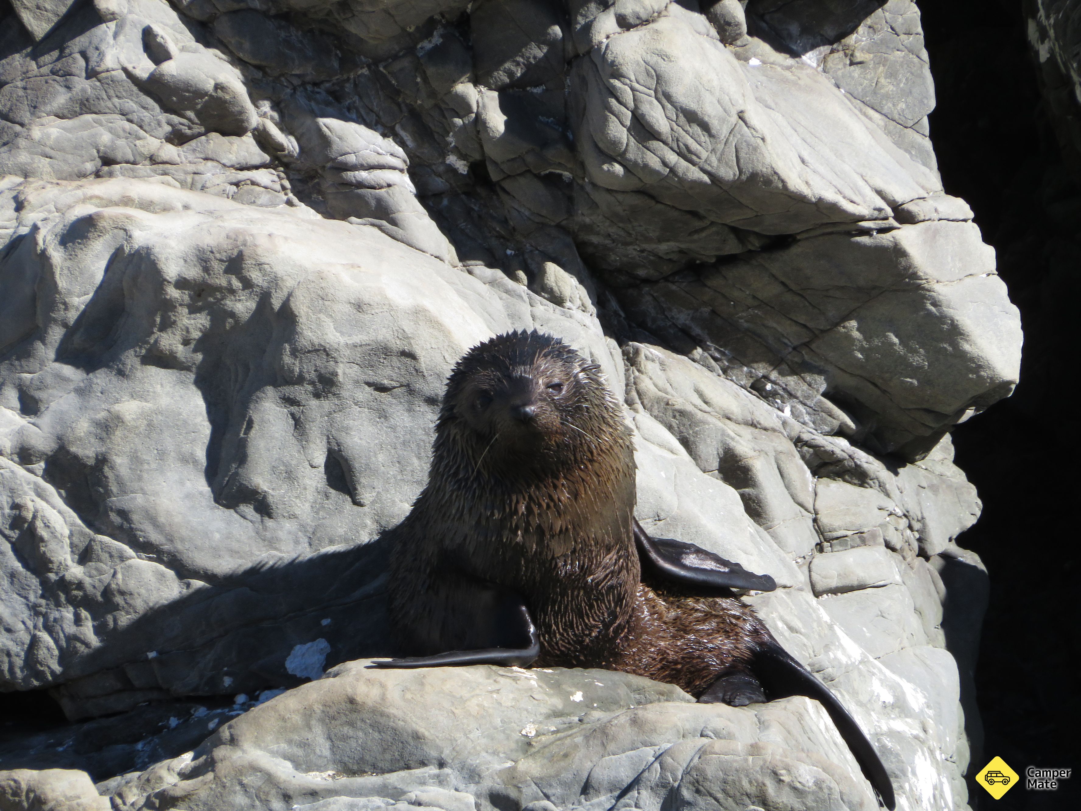Ohau Point Lookout - Image 3
