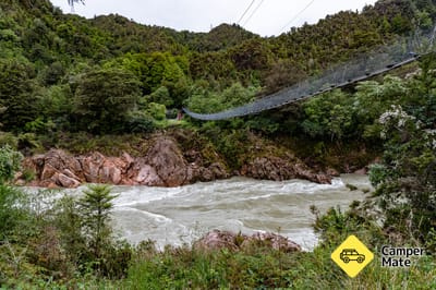 Buller River Gorge Swing Bridge