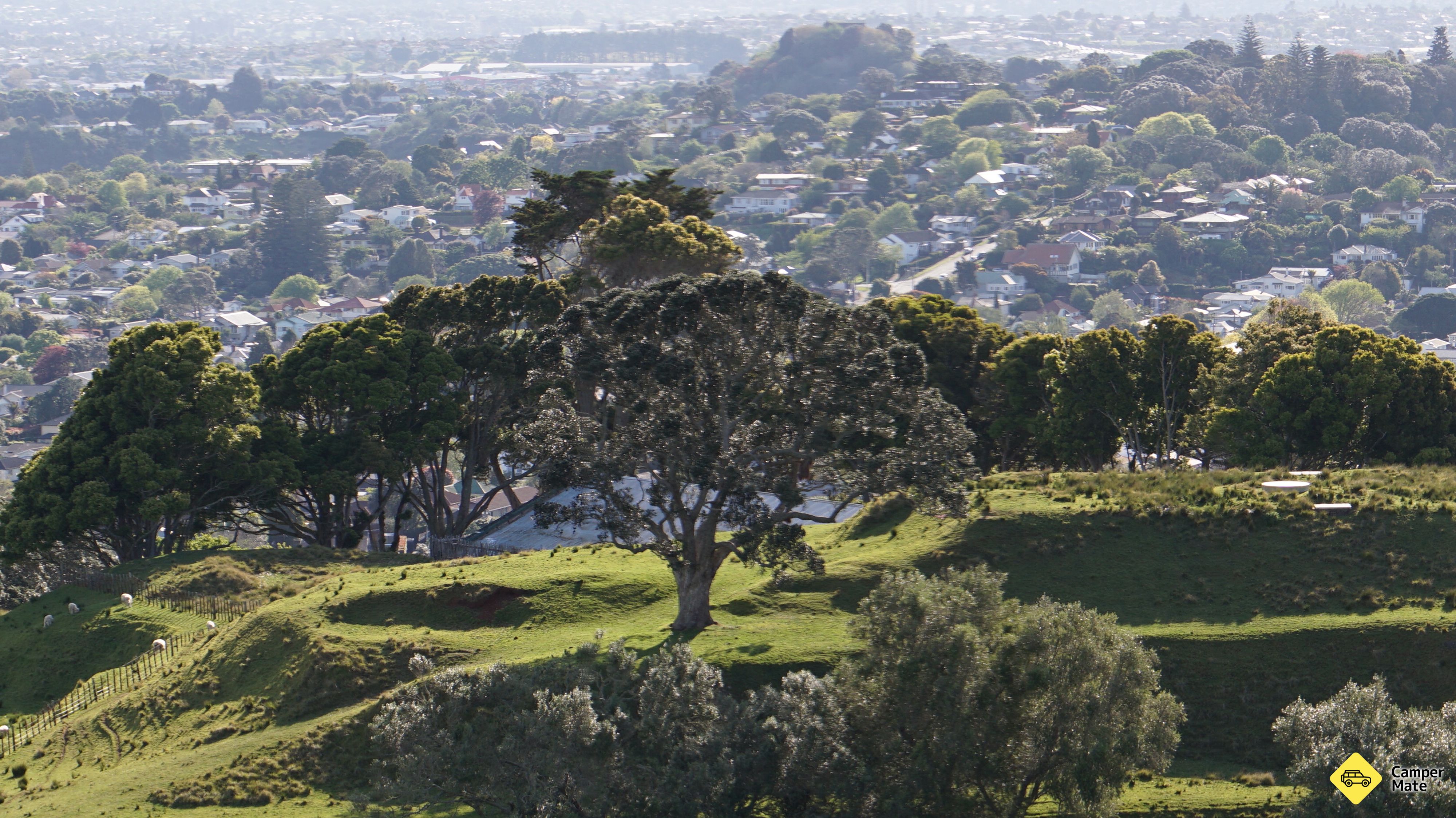 Waitemata-Manukau 근처 오락거리