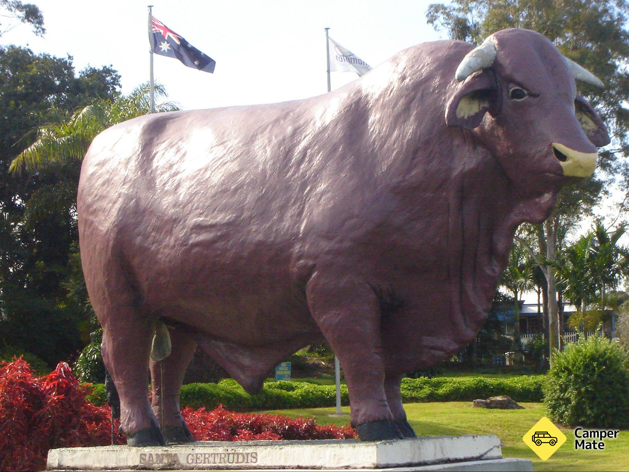 Statue van Rockhampton Bull - Image 3