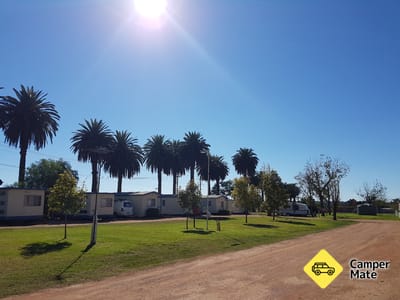 The Palms Caravan Park