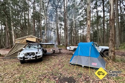 Ditchfields Campsite - Mt Cole State Forest