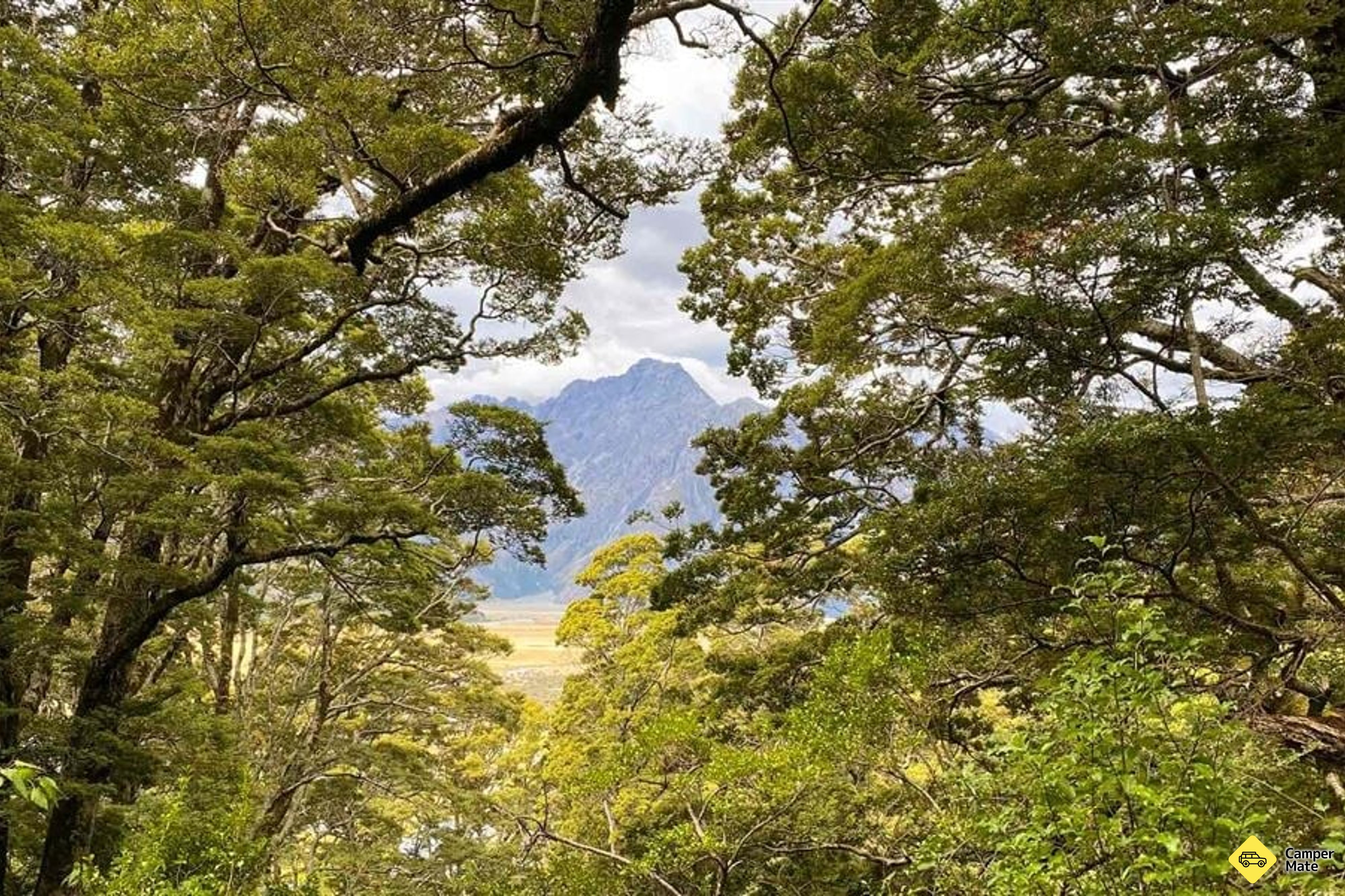 Governors Bush Walk