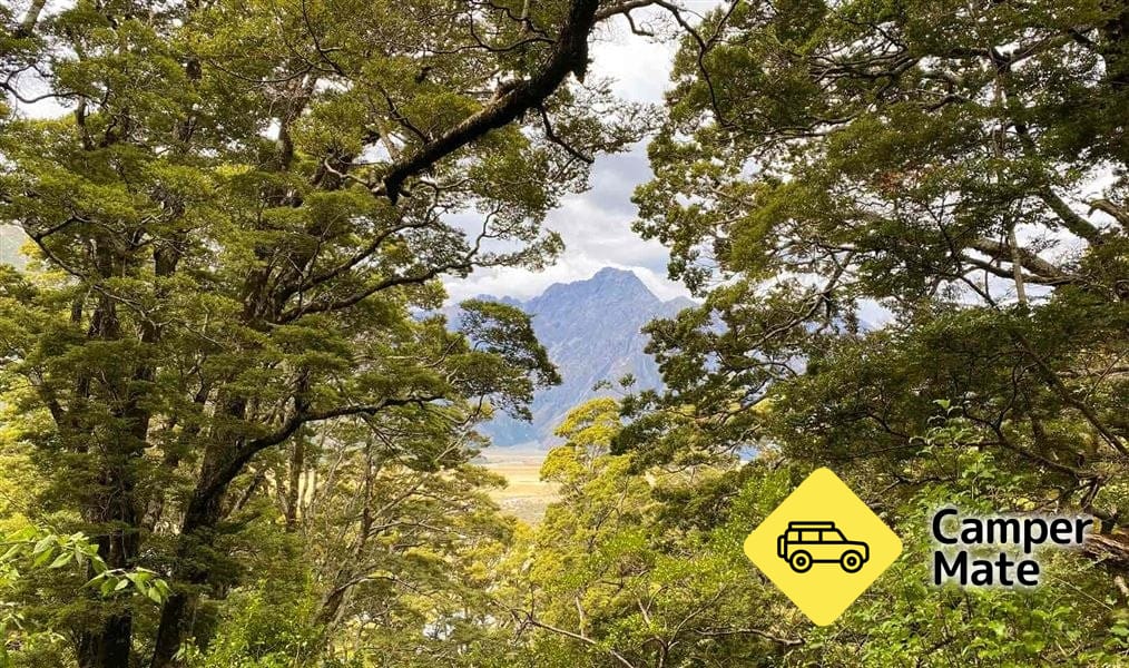 Governors Bush Walk