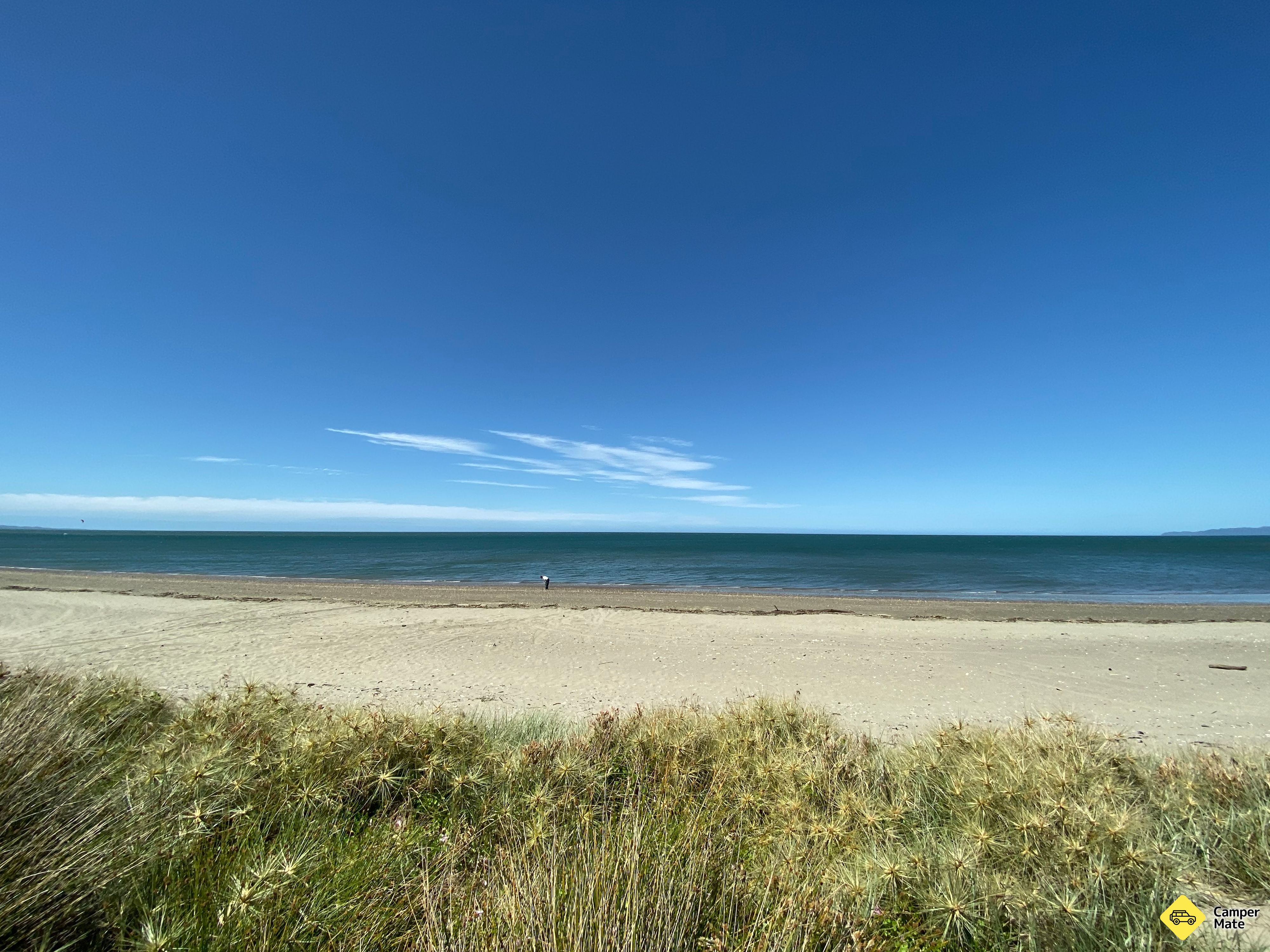 Parapara Beach - Surfcast - Image 2