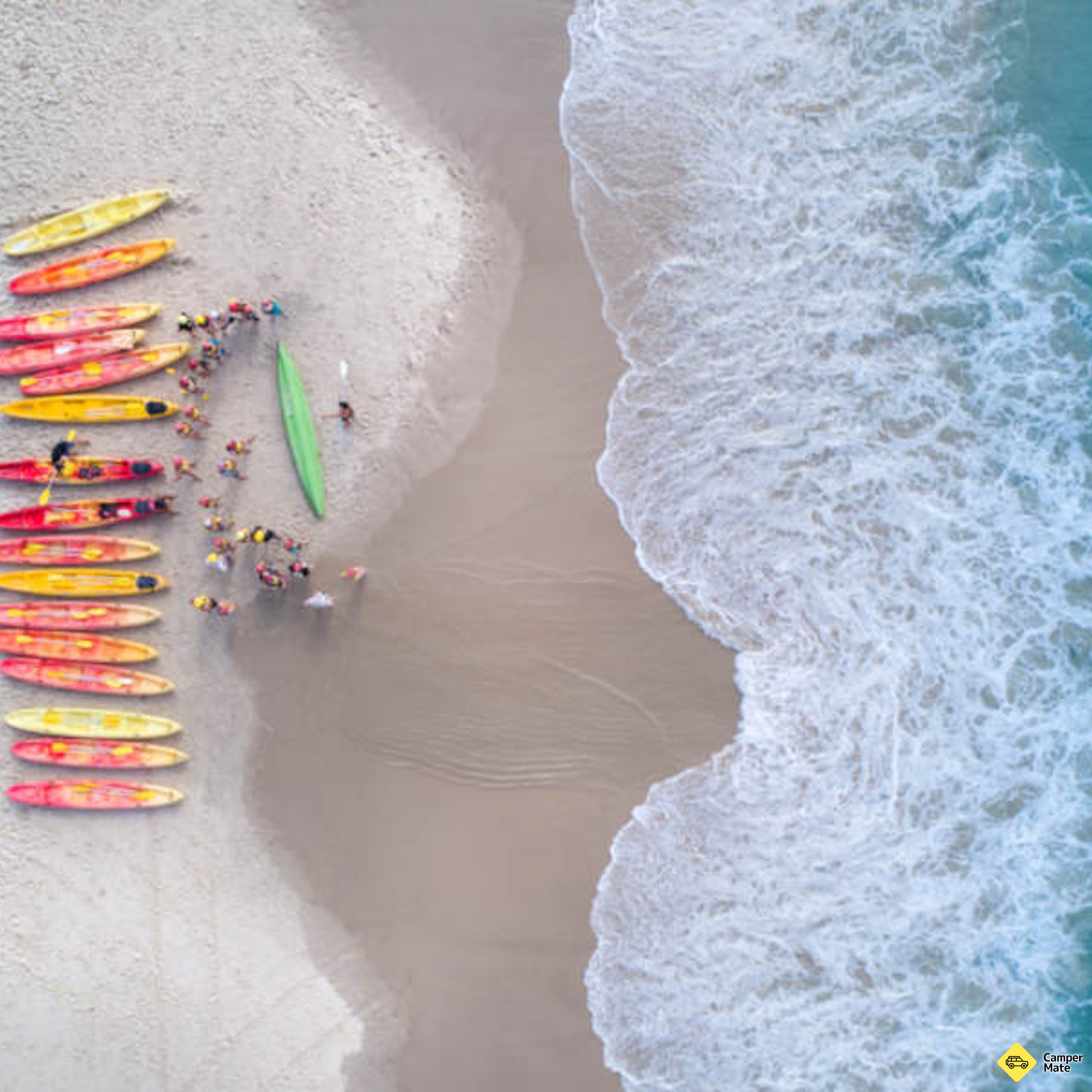 Hal yang dapat dilakukan di dekat Byron Bay Dolphin Kayaking Tour - Image 2