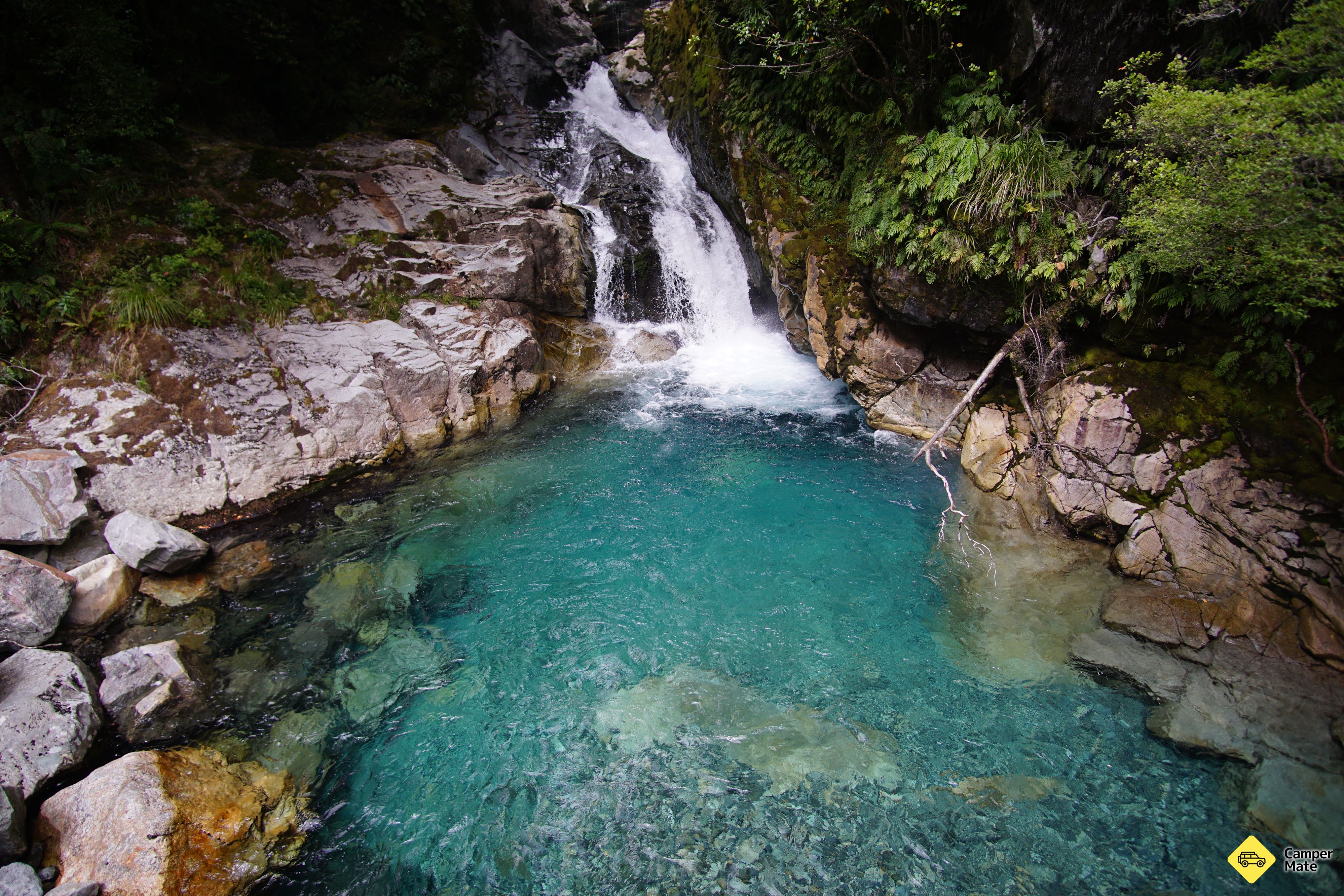 Bảng giá Falls Creek Waterfall Track - Image 3