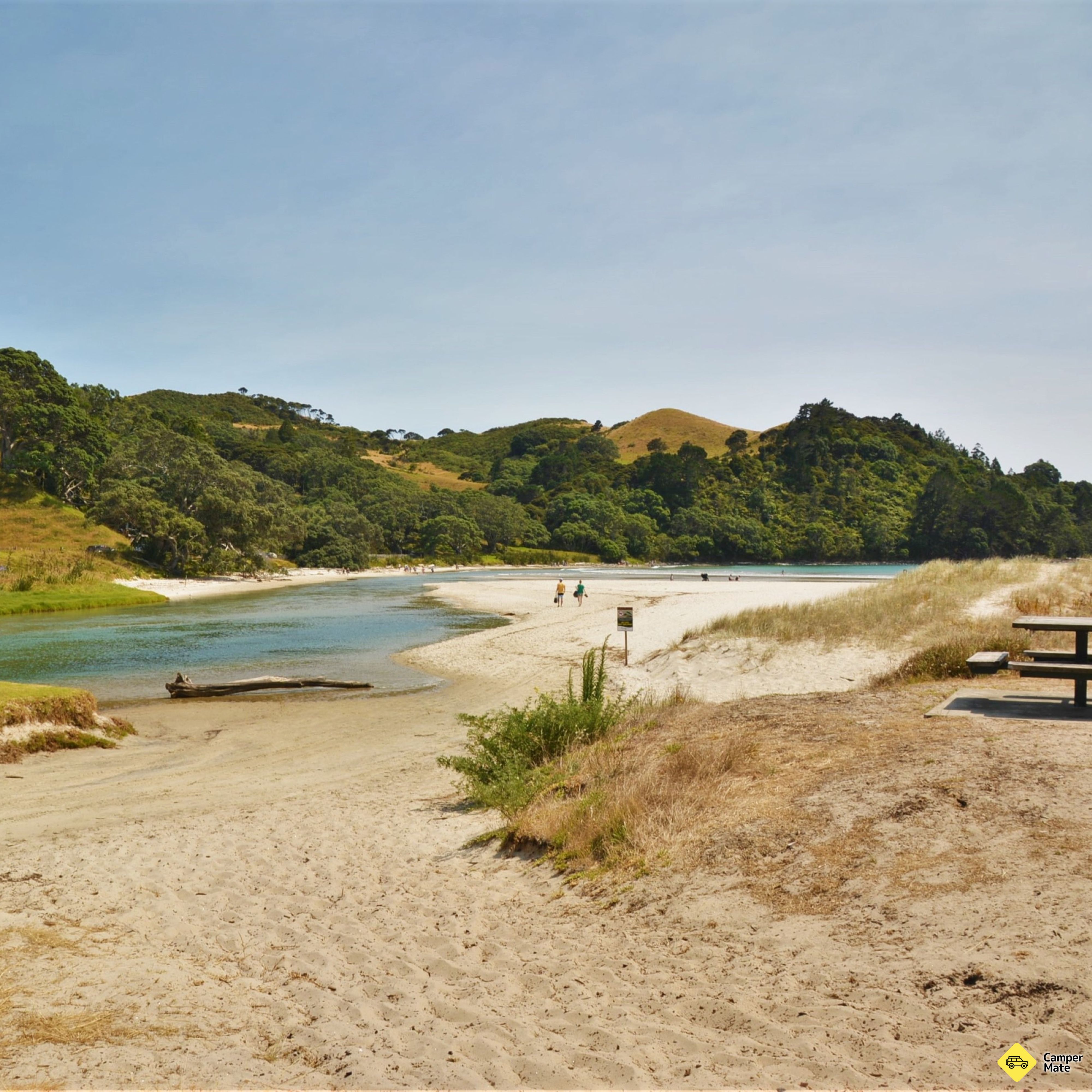 Whangapoua strand - Image 2