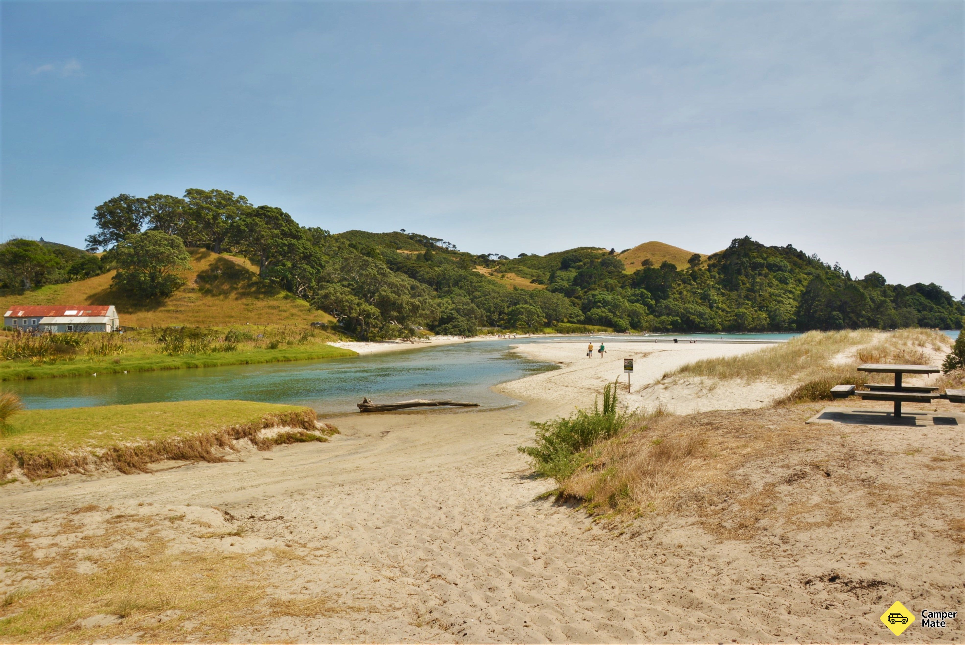 Whangapoua strand - Image 2