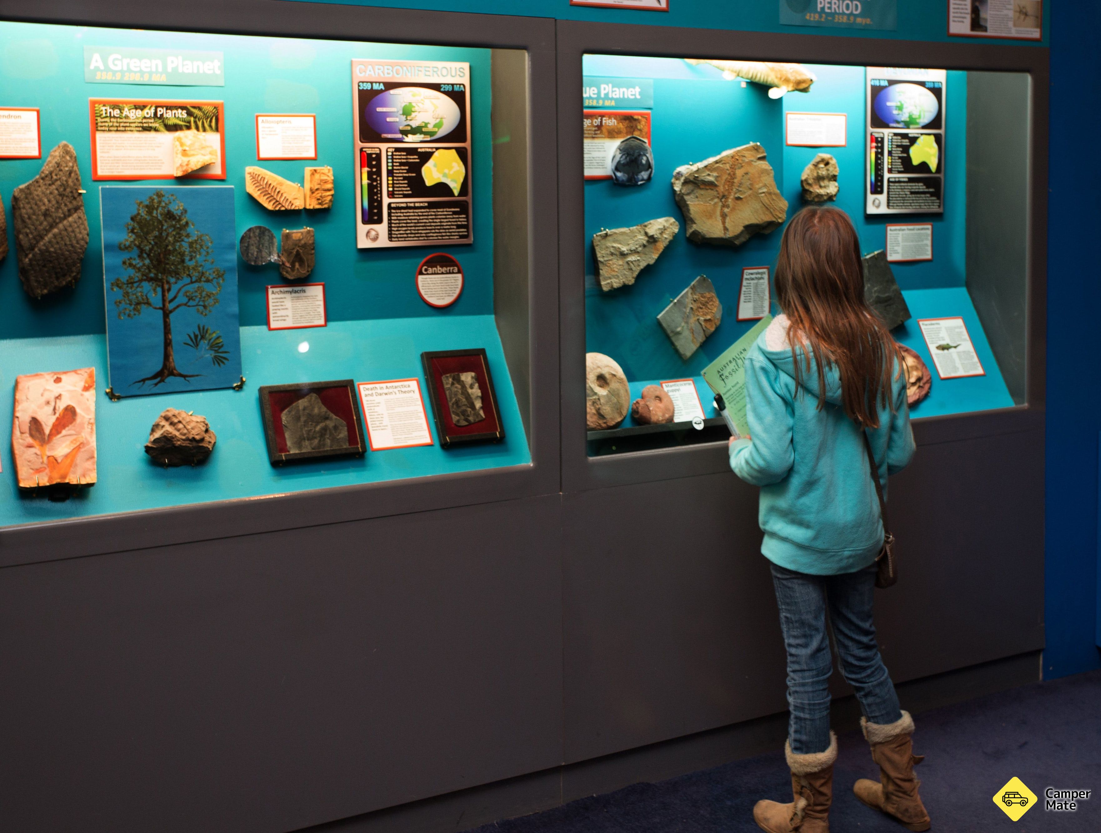 Musée national des dinosaures - Image 2