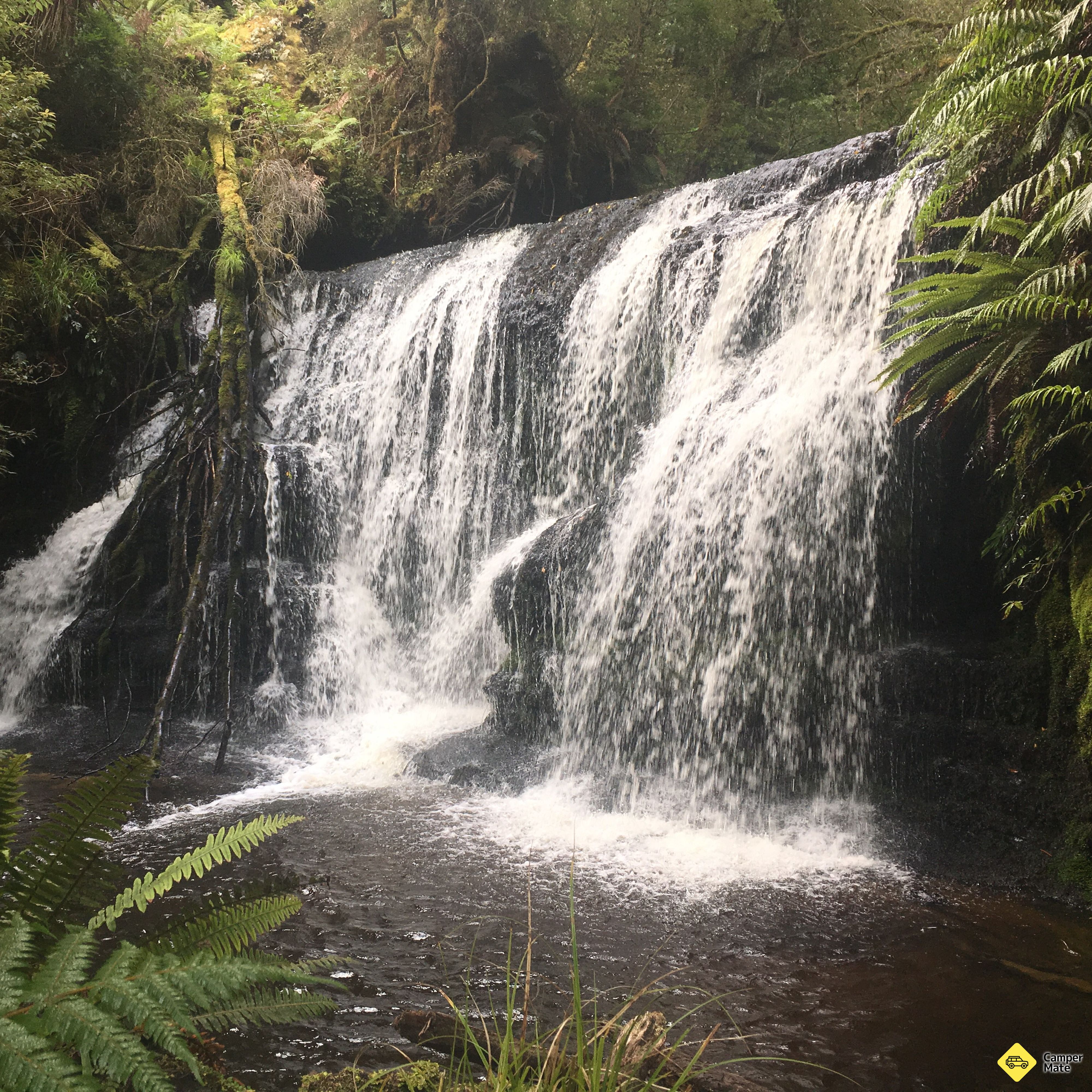 Waipohatu Falls - Image 2