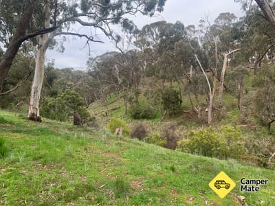 Dollys Creek Campground
