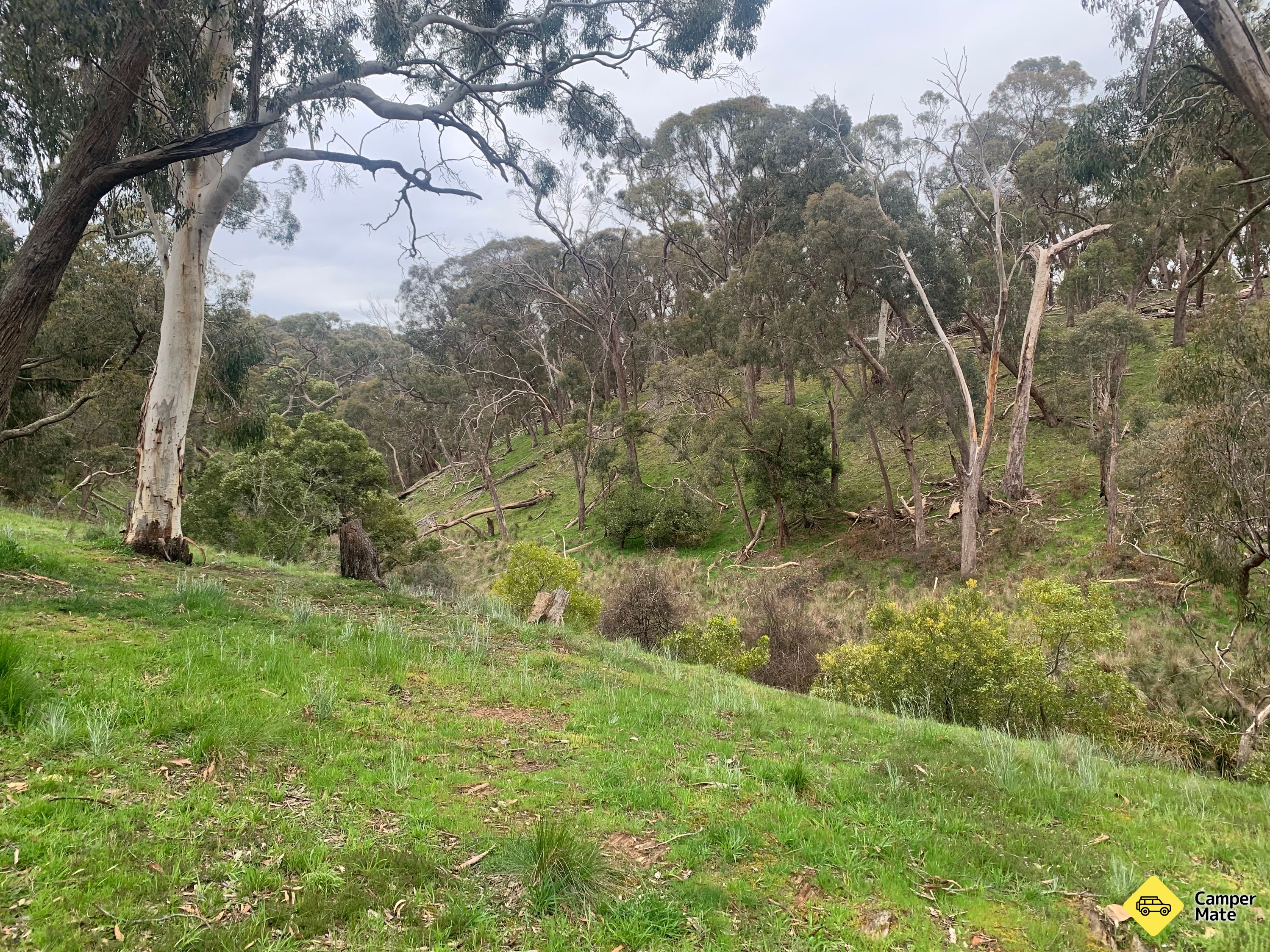 Dollys Creek Campground