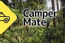Carter Scenic Reserve
