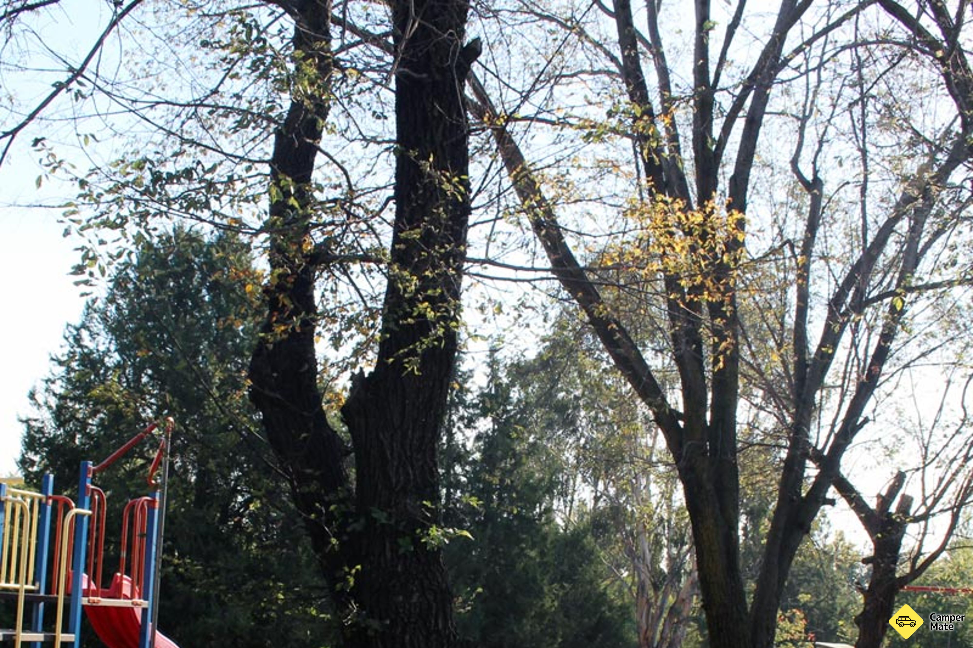 Canberra Holiday Village - Image 3