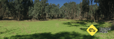 Koondrook State Forest