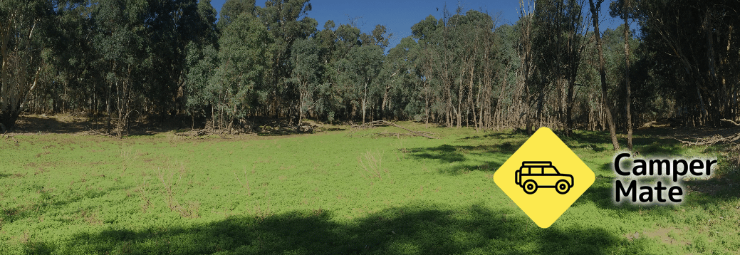 Koondrook State Forest