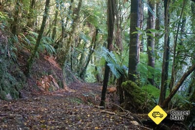 The Fenian trails