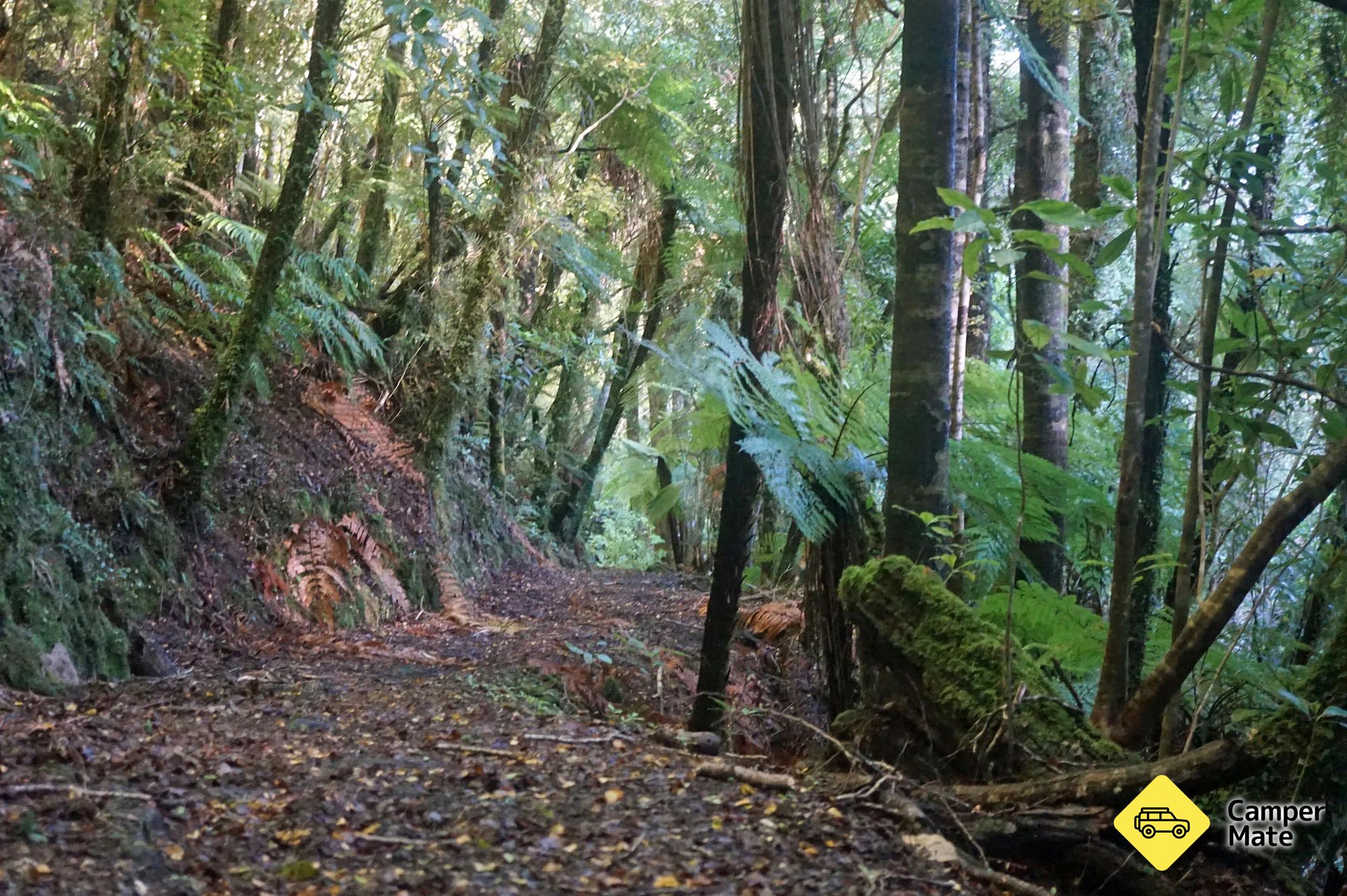 The Fenian trails