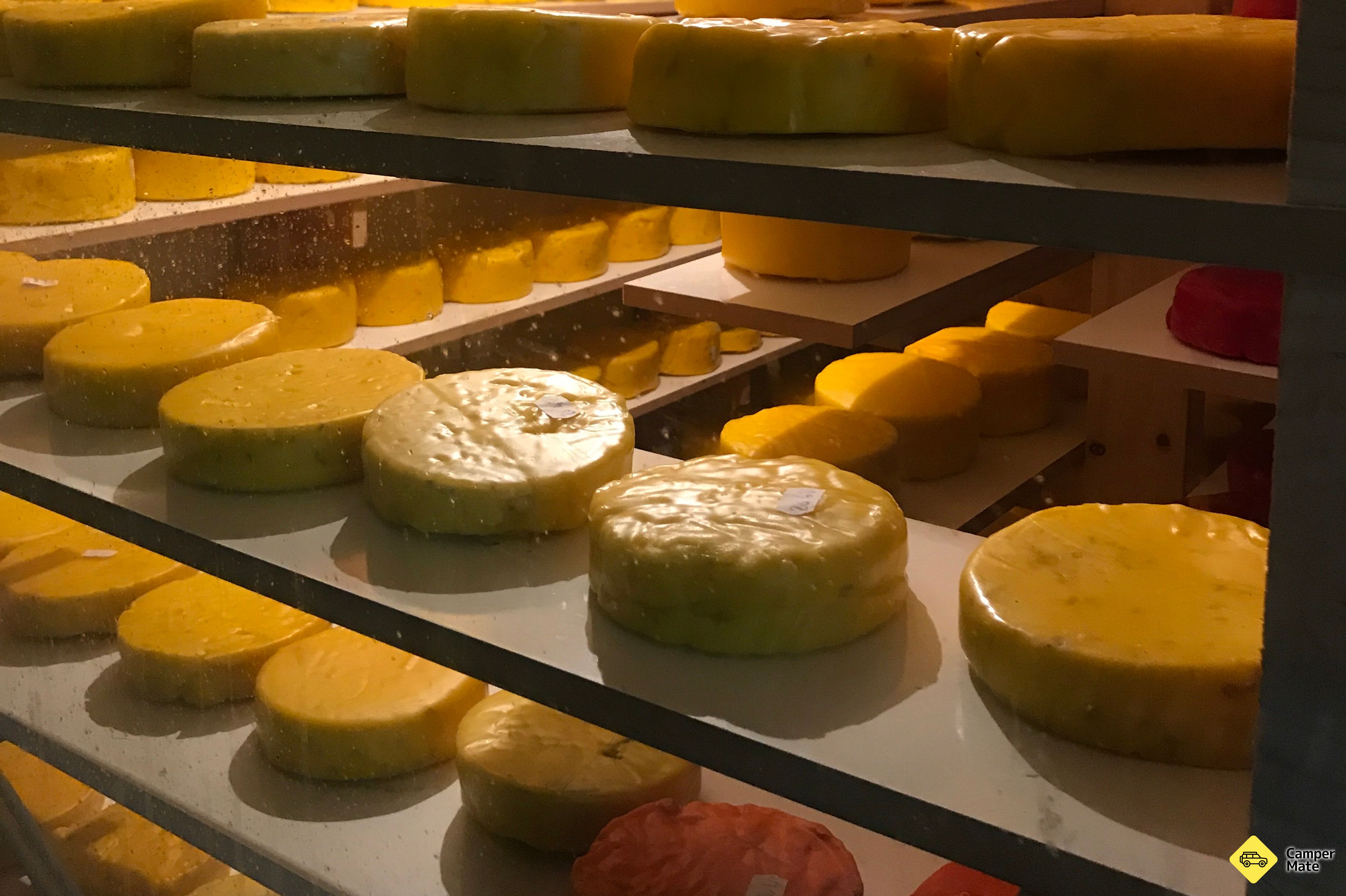 Evansdale Käse - Image 2