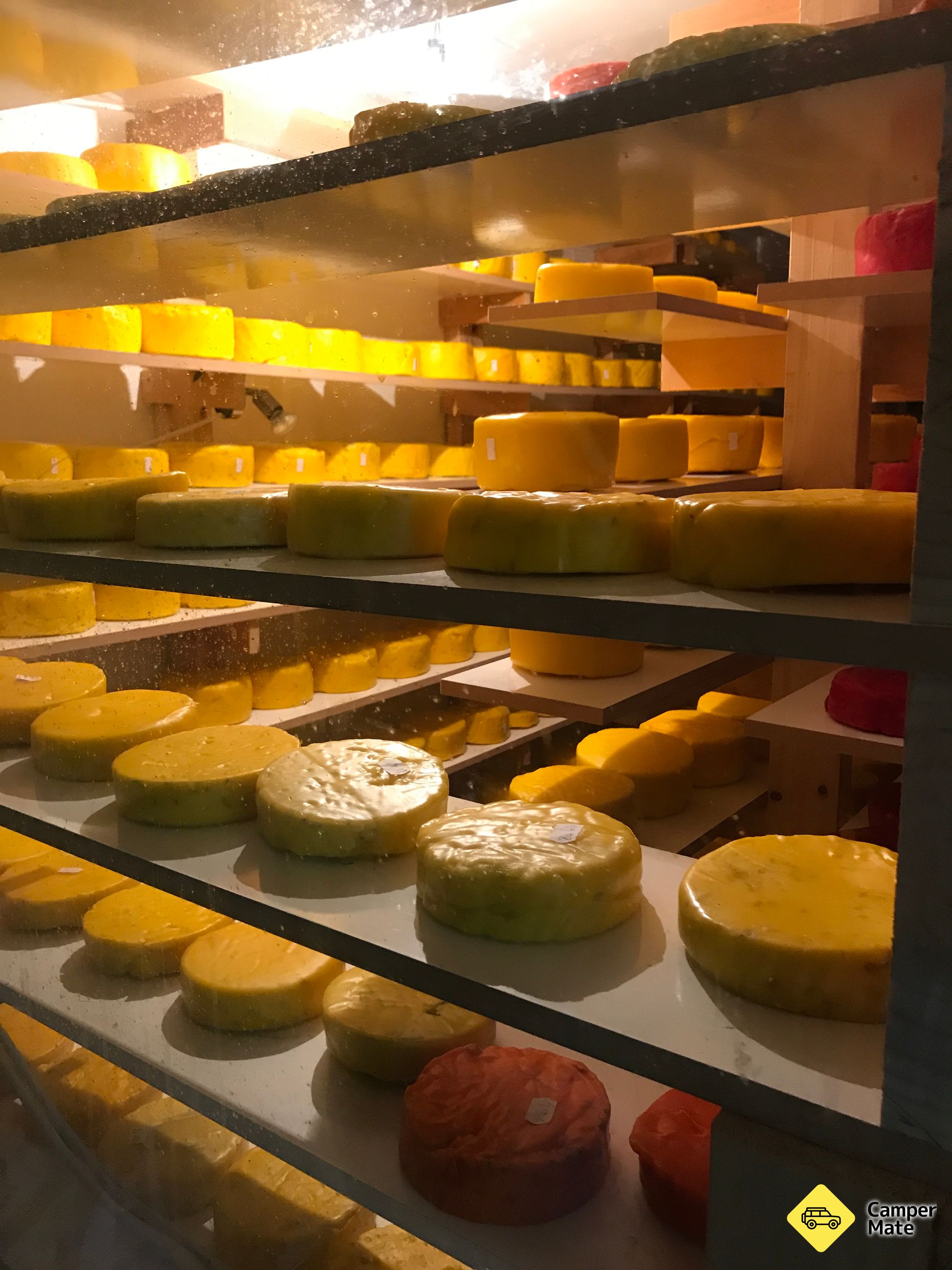 Evansdale Käse - Image 2
